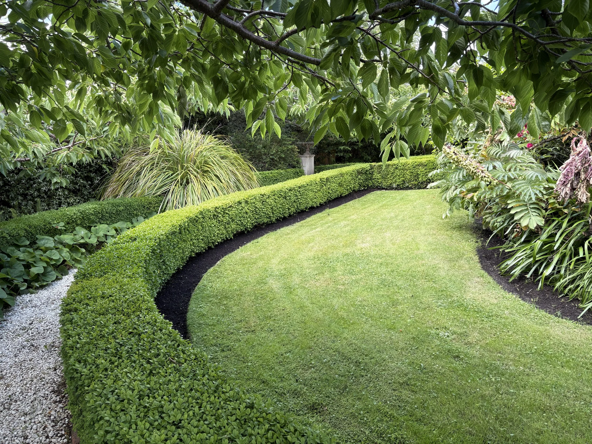 A well-manicured garden with a curved lawn bordered by neatly trimmed green bushes, multiple types of lush green plants, and trees with broad leaves, creating a peaceful outdoor scene.