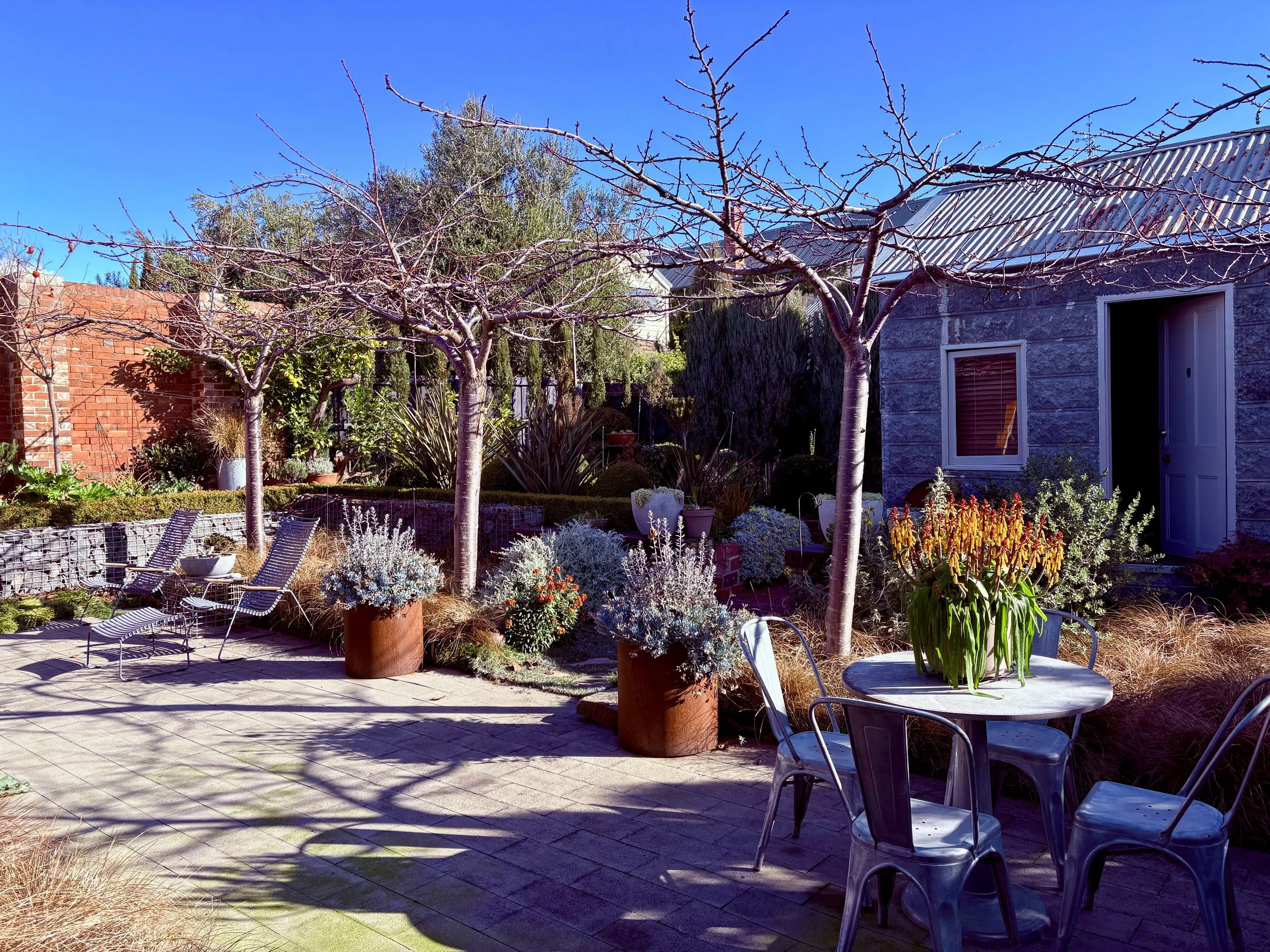 A backyard with leafless trees, potted plants, outdoor patio furniture, and a brick and stone house with a metal roof under a blue sky.