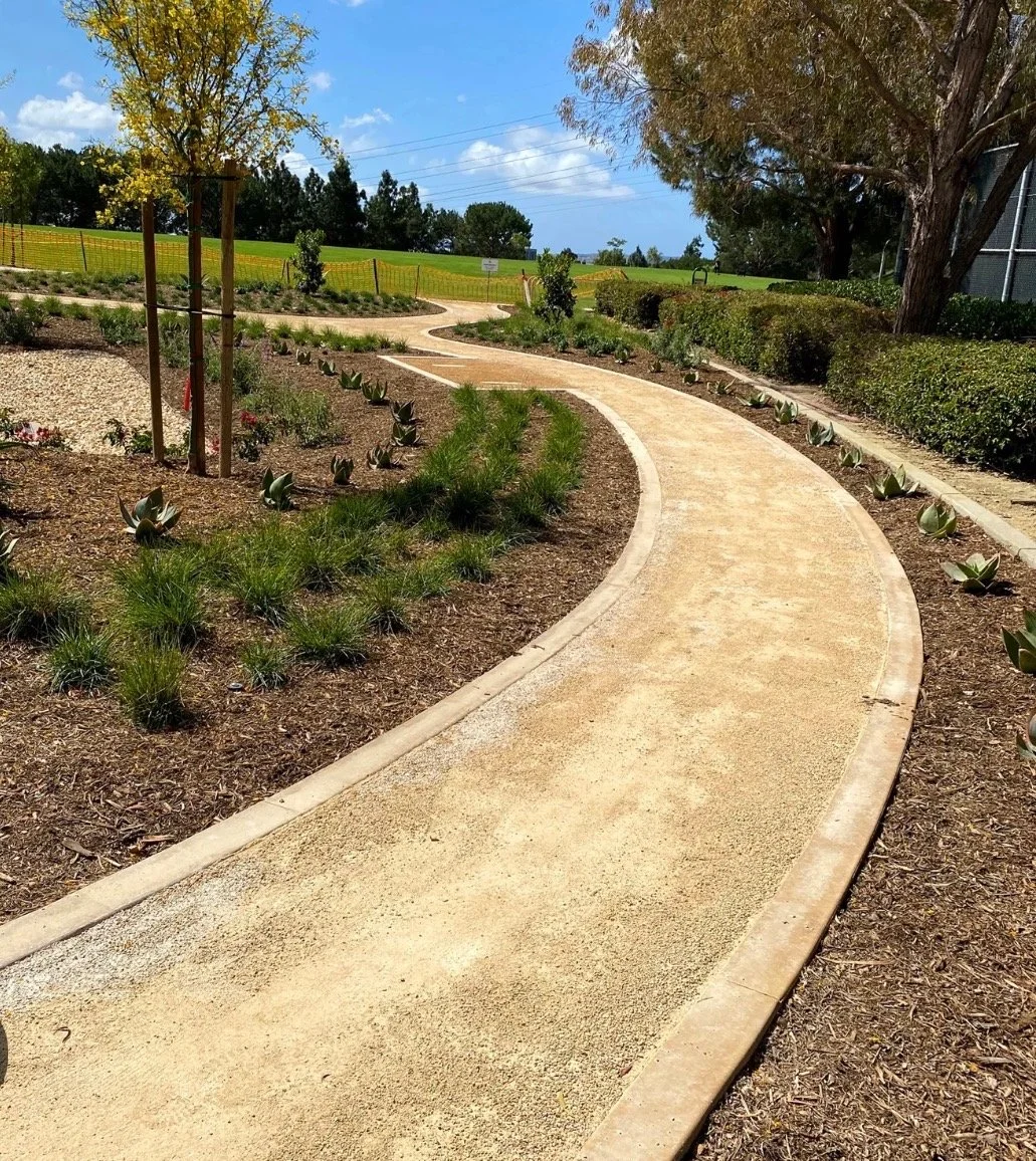 A curved concrete walking path in a landscaped garden with small plants along the sides, a tree with a support stake, and a grassy area with trees and sky in the background.