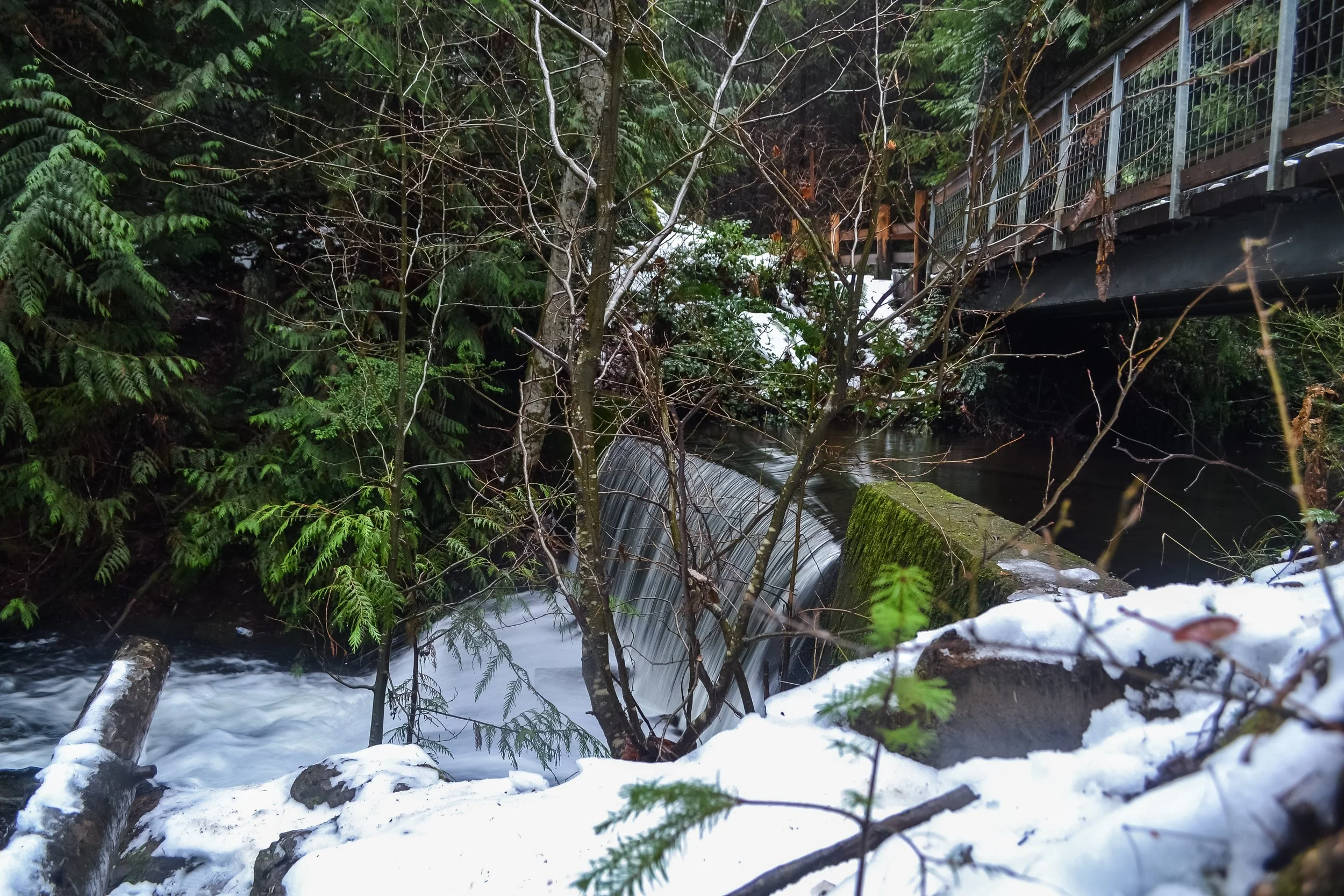 dickerson creek falls and bridge. Bremerton WA. 01 05 2022.jpg