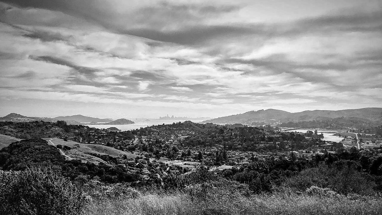view of SF BAY AREA from Mill Valley.jpg