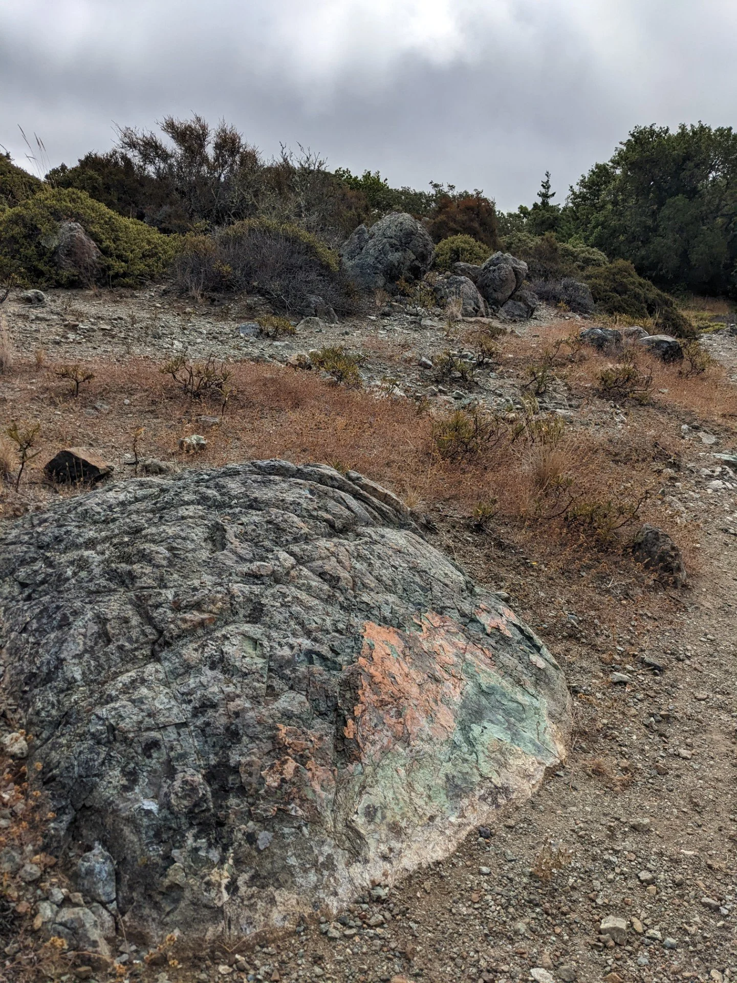 my favorite rock. Azalea Hill trail. summer2023 .jpg