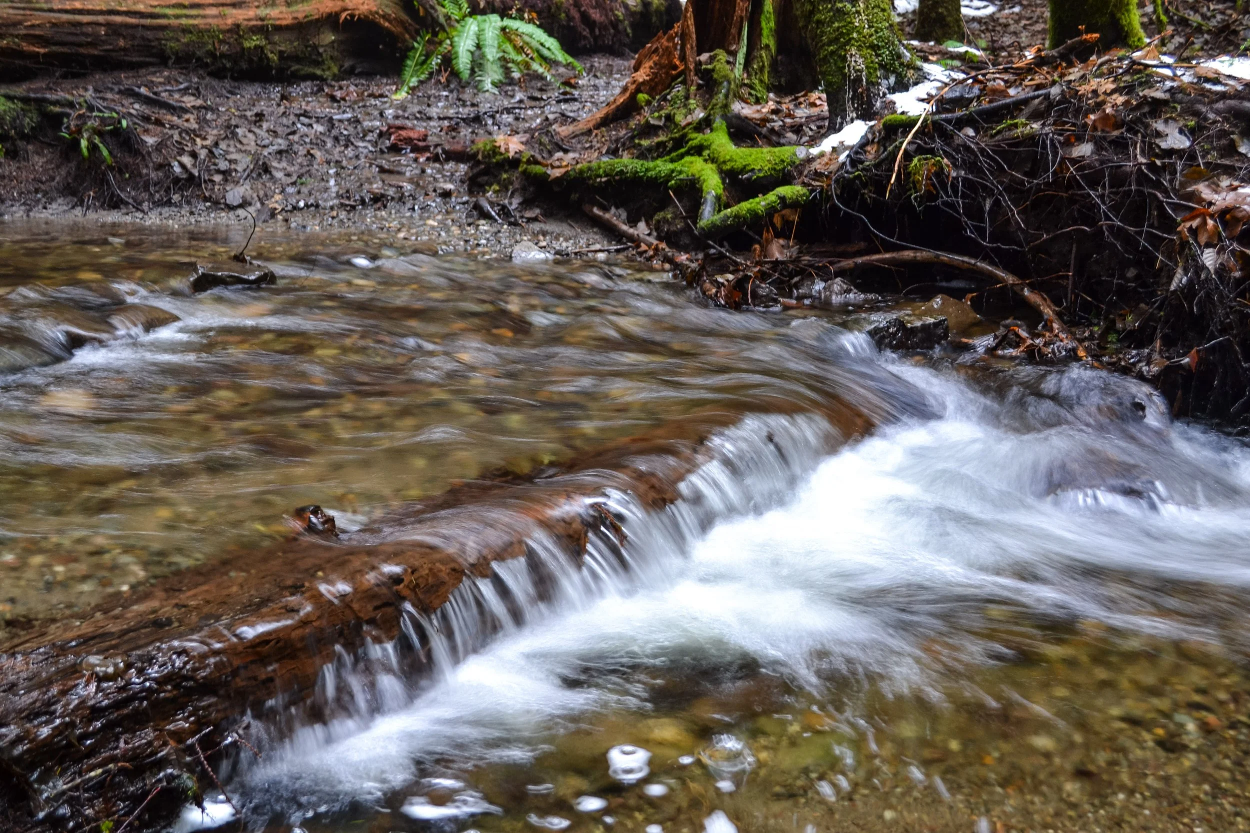 Bremerton WA flowing water. winter 2022.  long exposure..jpg