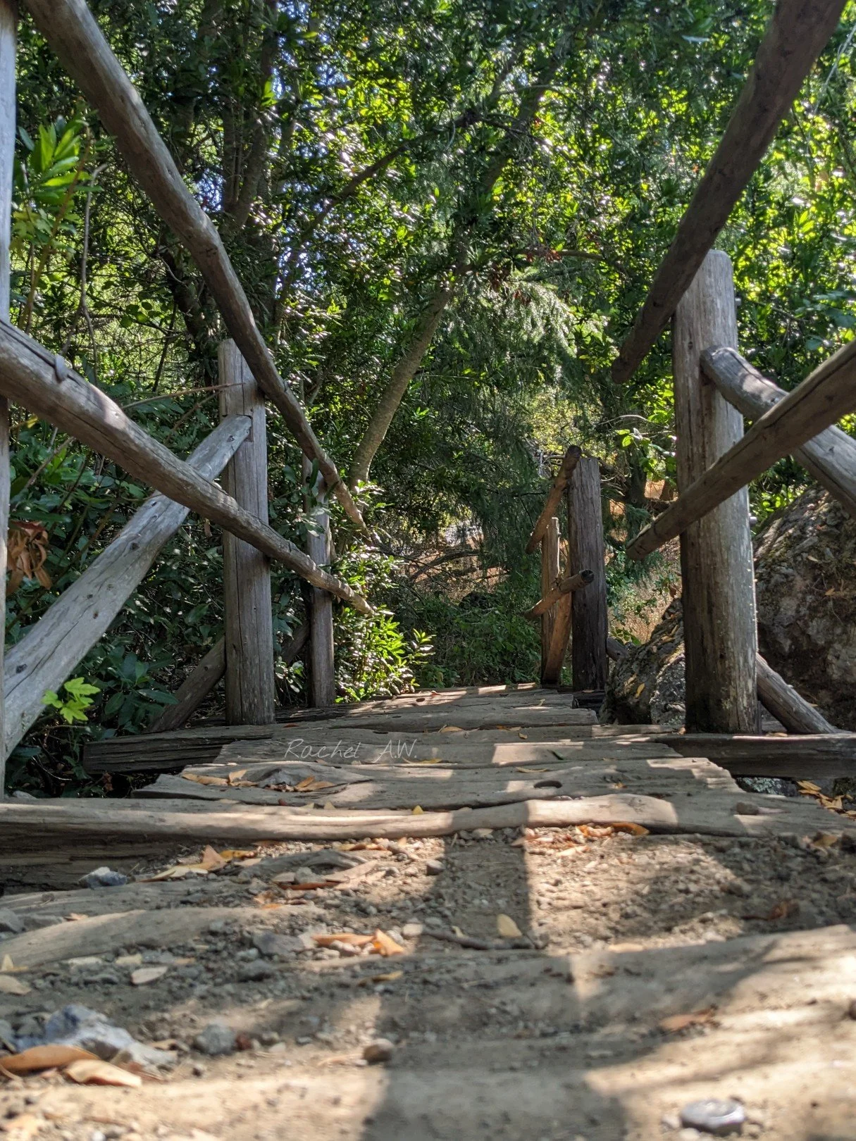 Bridge to Carson Falls trails. summer 2023 .jpg