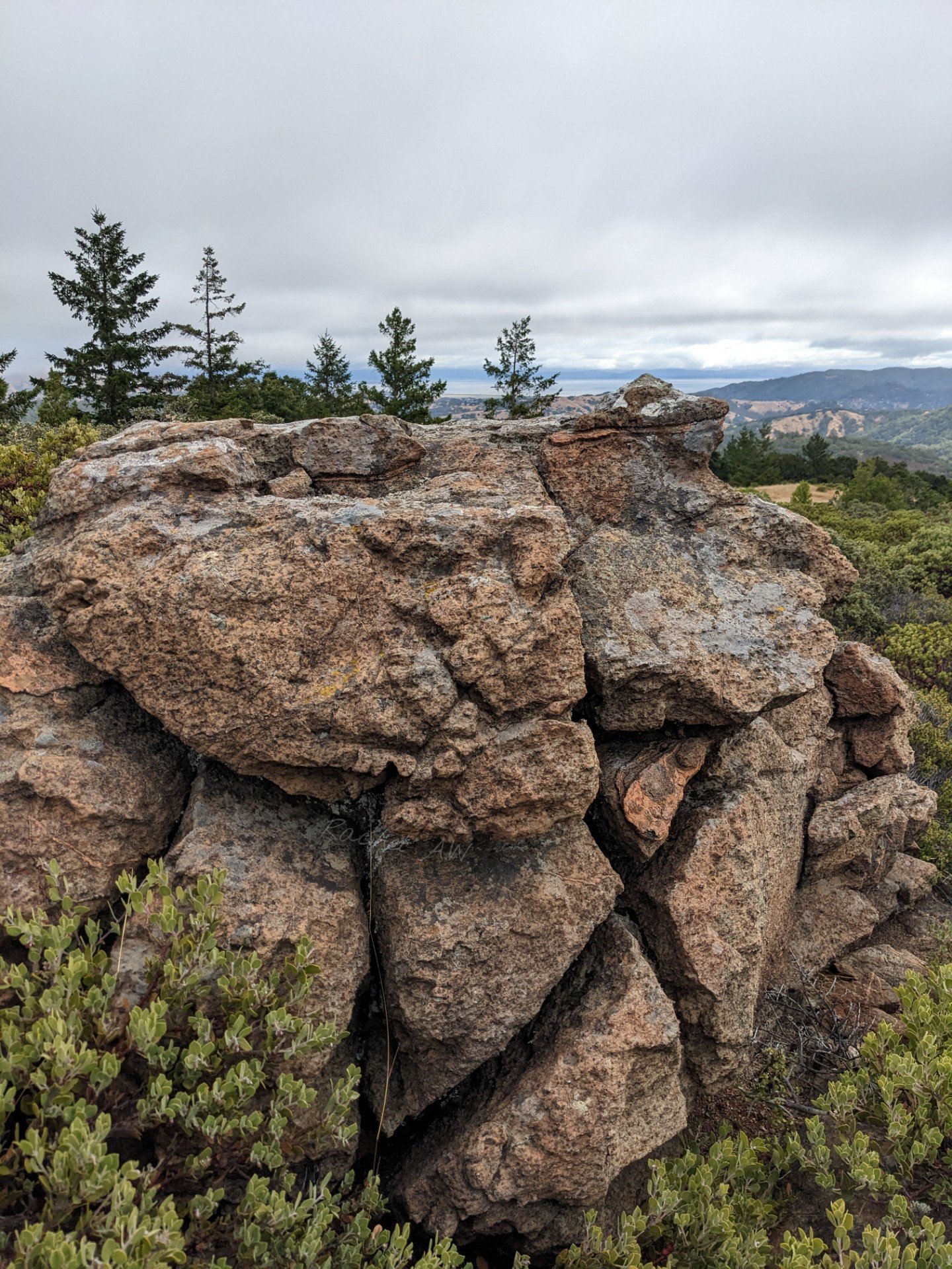 X marks the rock. summer 23.jpg