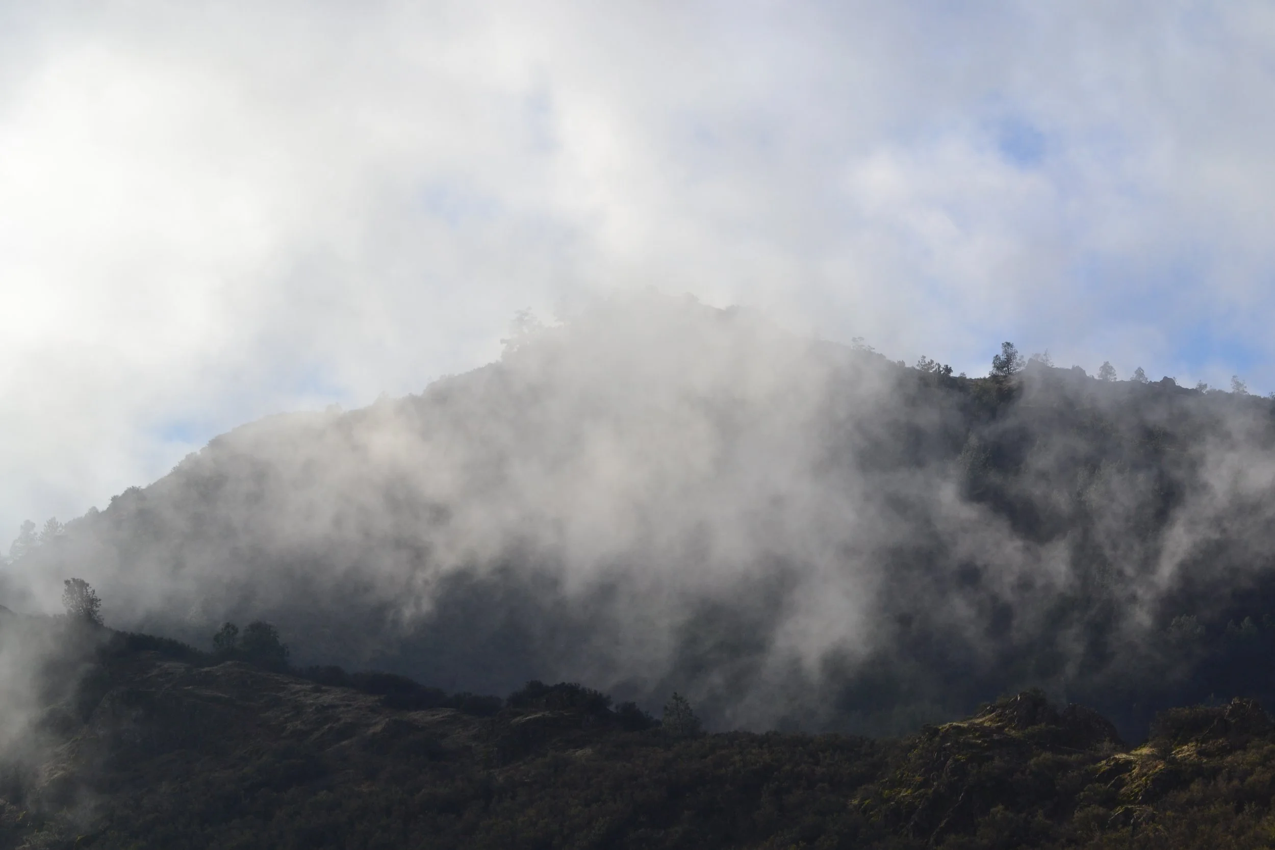 morning fog on mt. diablo.JPG