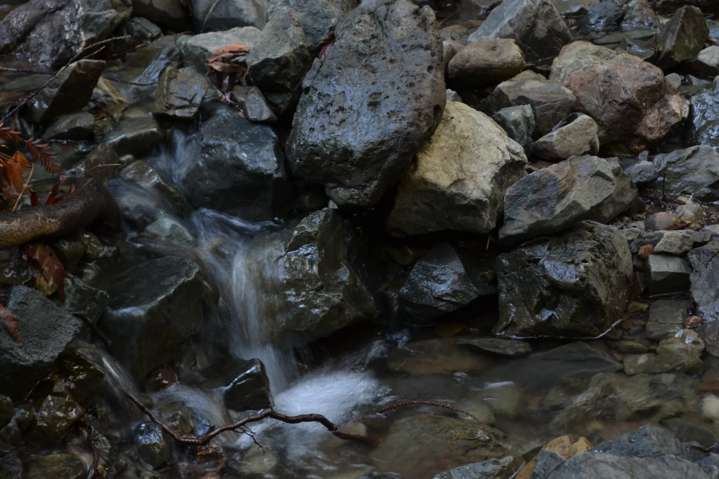 DSC_0159.JPG