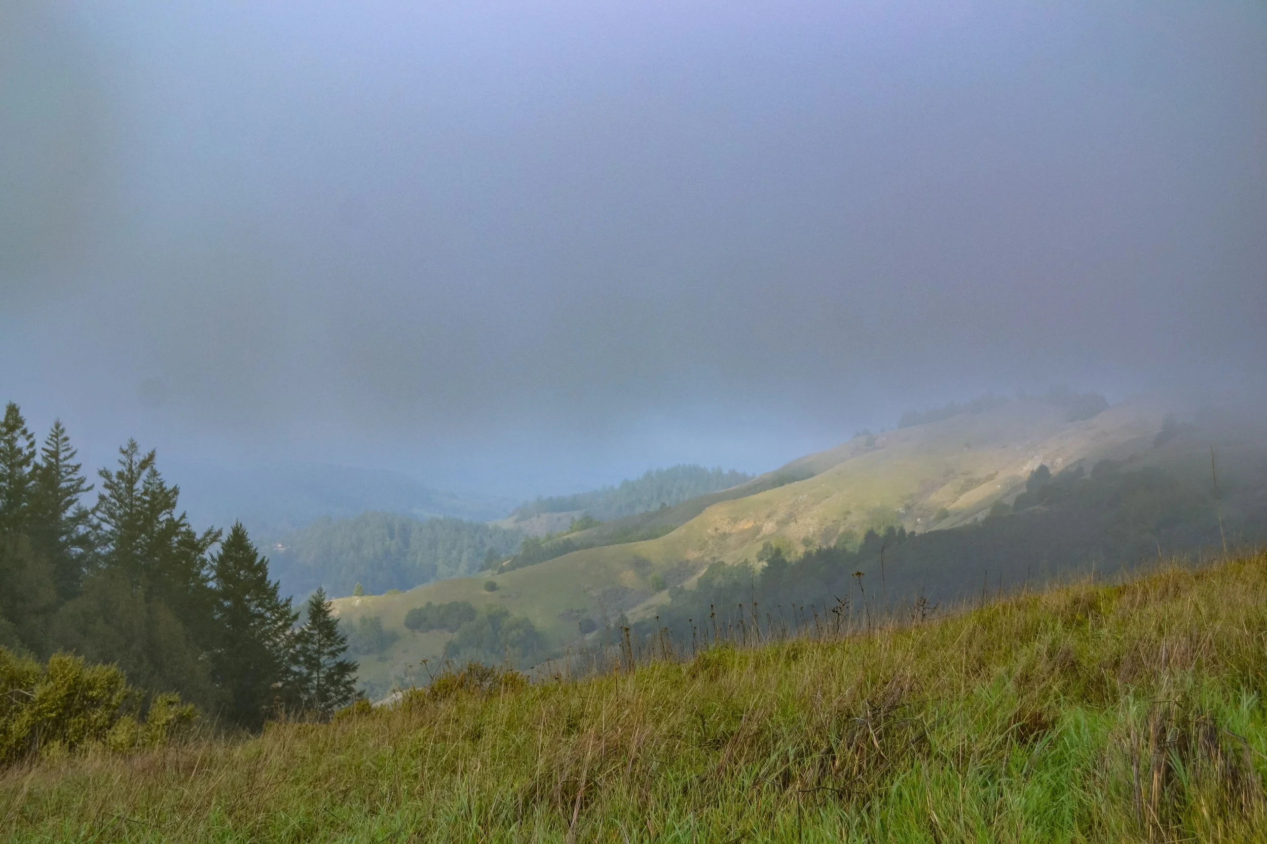 somewhere in nicasio valley. clouds and dark fog.jpg