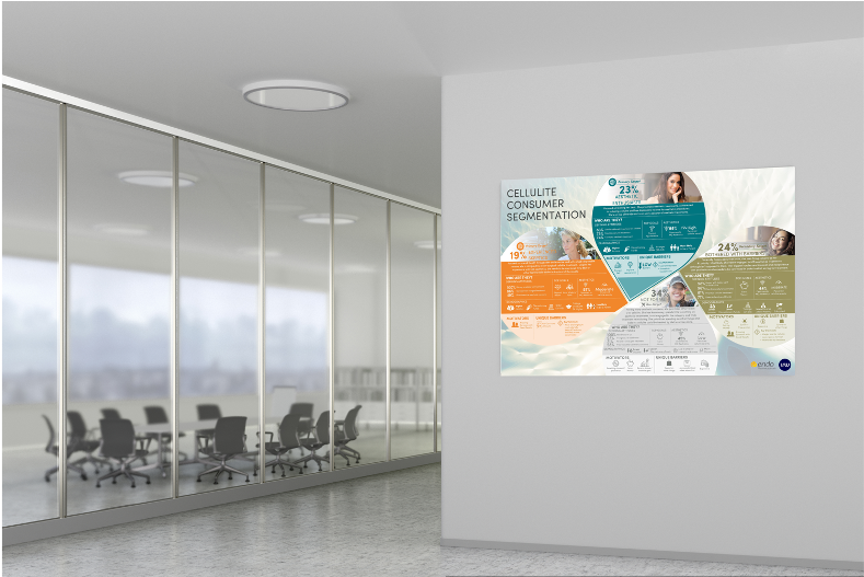 Created a client requested large poster featuring data for consumer segments for pharmaceutical company