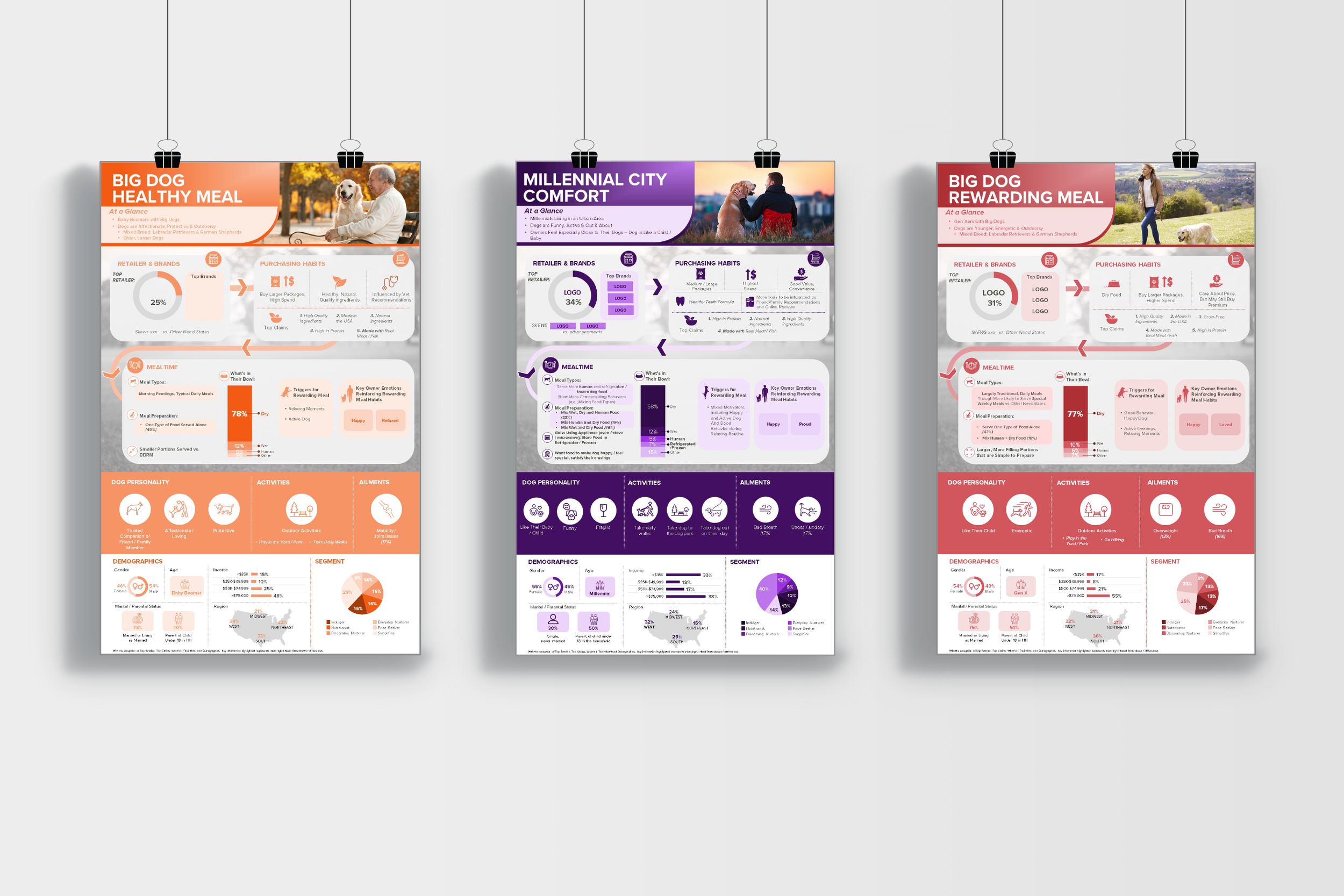 Poster segmentation design for pet food company 