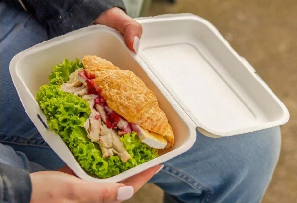 Sugar Cane Rectangular Clamshell Regular - 500 per box