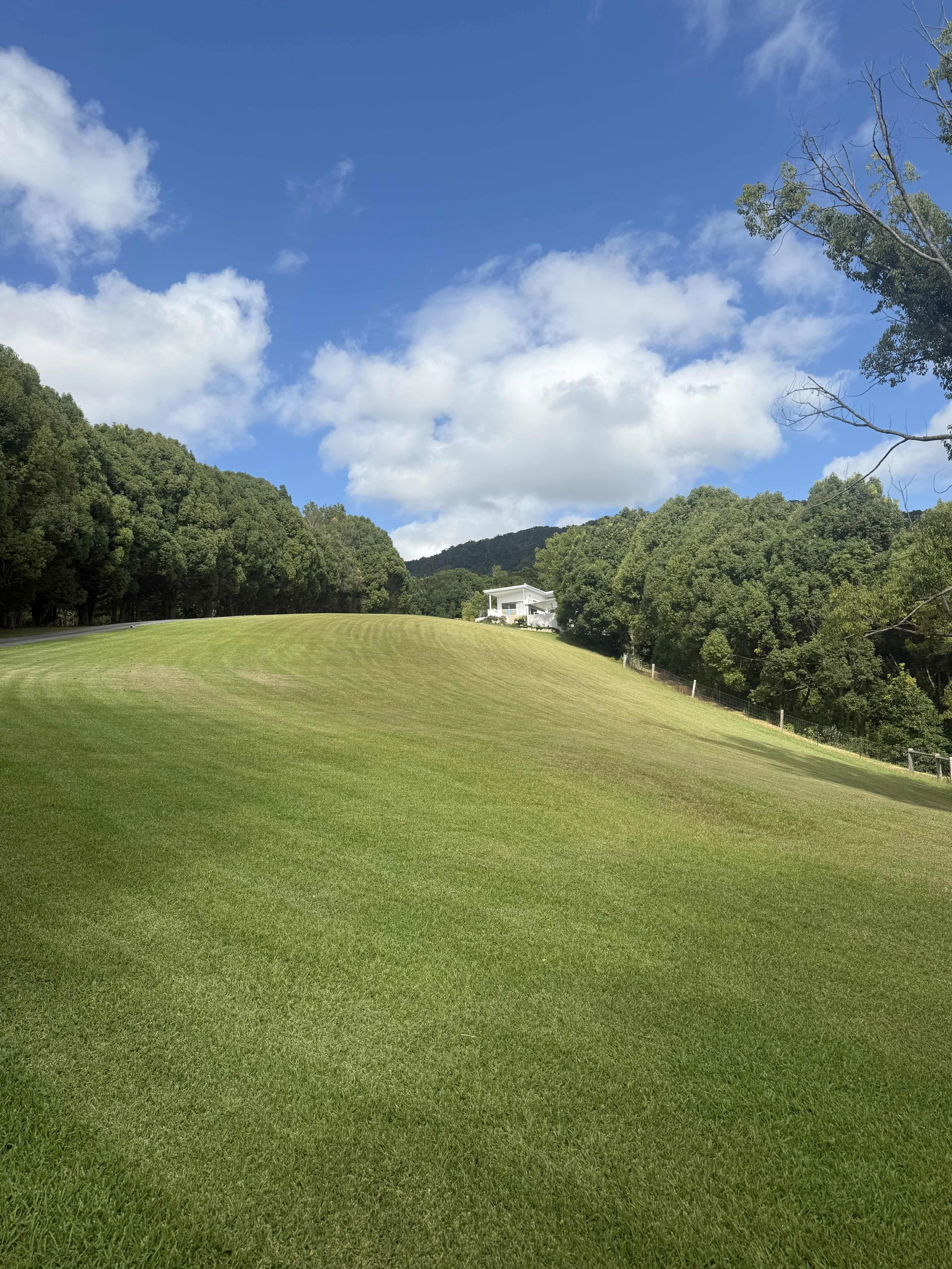Currumbin Valley