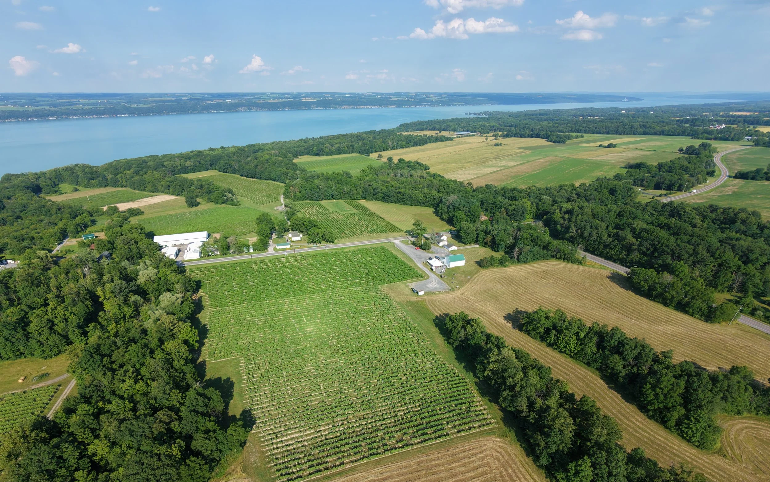 Aerial view of a river with green fields, farms, and trees along its banks on a clear day.