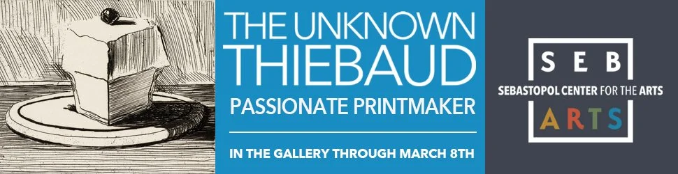 SebArts_Thiebaud970x250.jpg