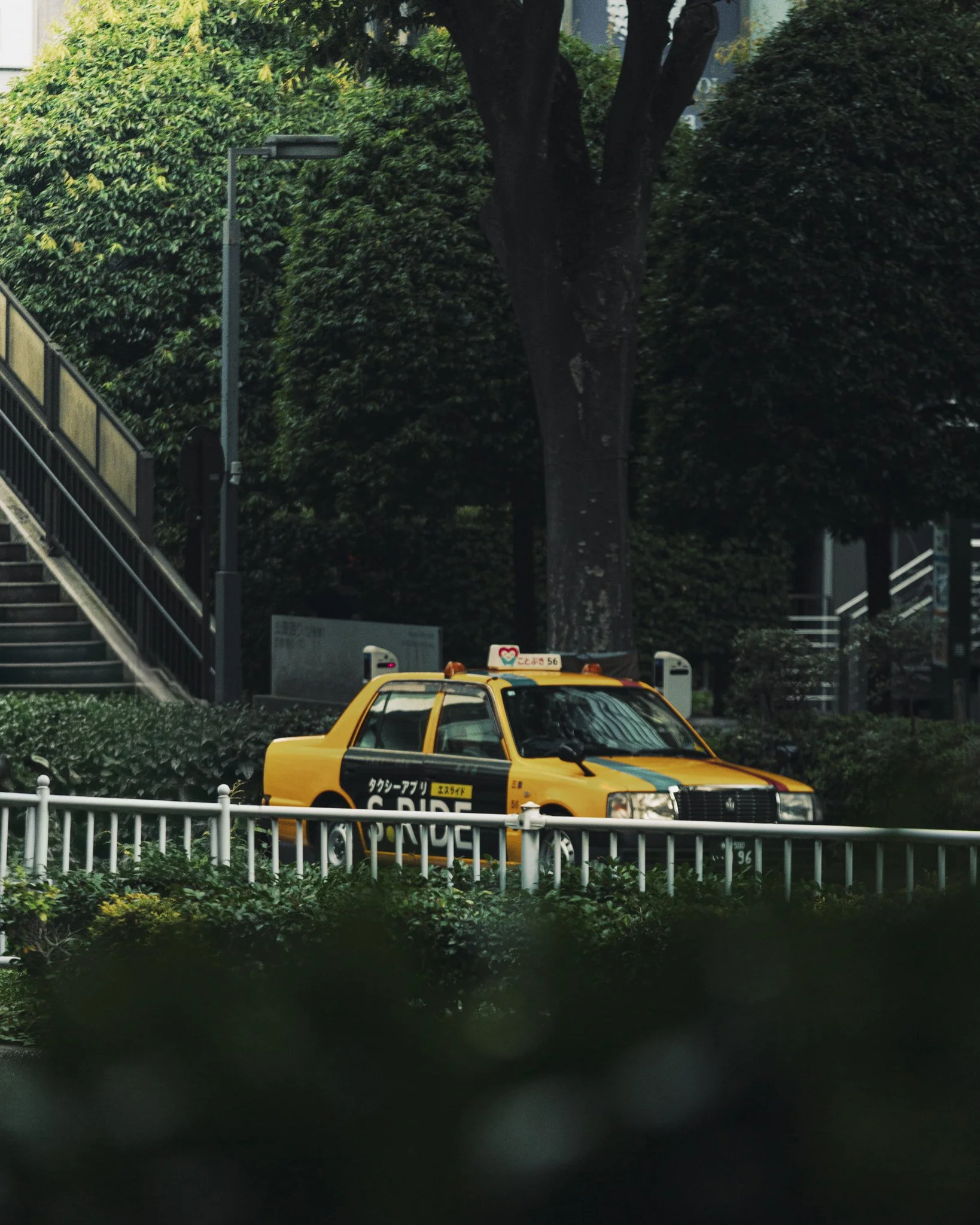 _42B2885-Edit.jpg