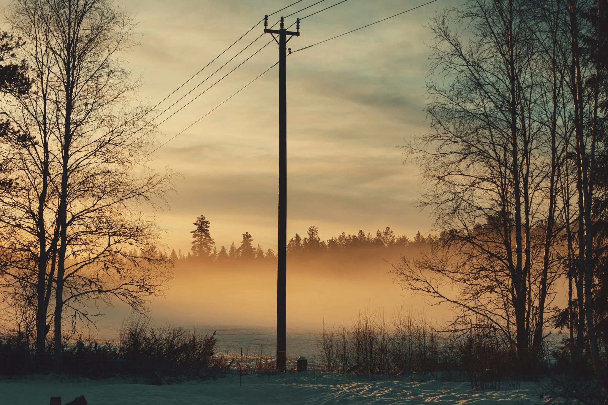 A sunset or sunrise scene with a utility pole and power lines in the foreground, leafless trees on either side, and a misty landscape in the background.