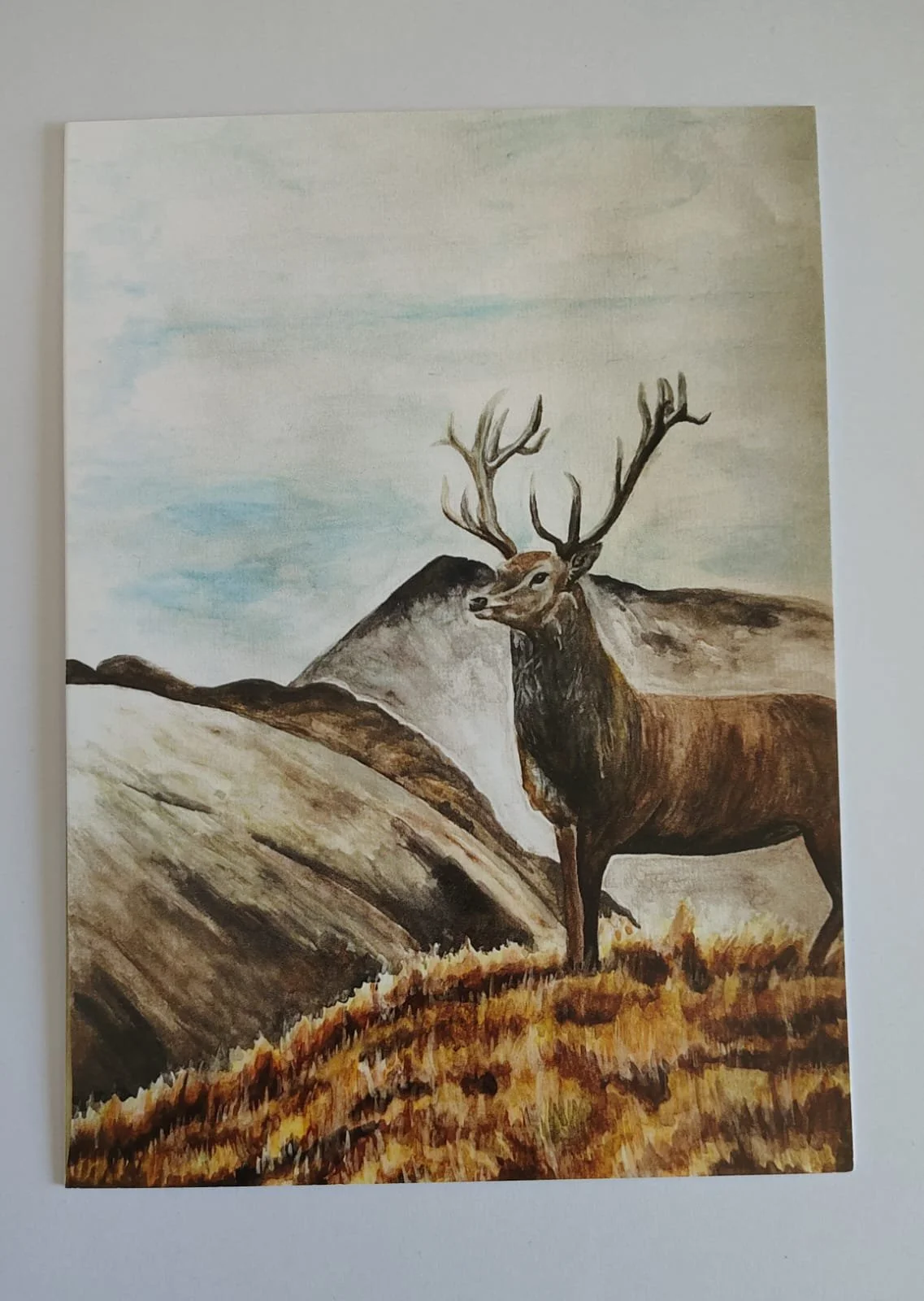 Elk