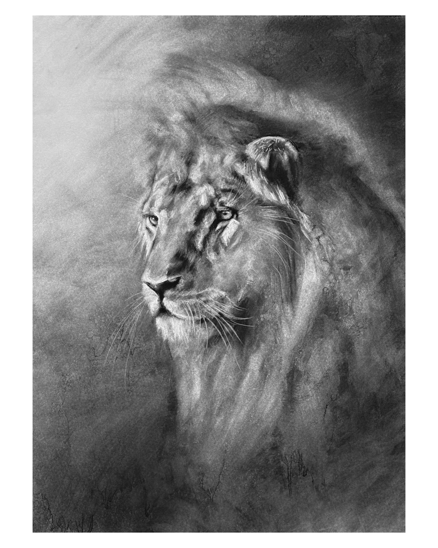 Charcoal on paper.

Charcoal on paper. One of my favourite pieces I&rsquo;ve made this year.

#charcoaldrawing #wildlifeart #artwork #artistlife #breyonart