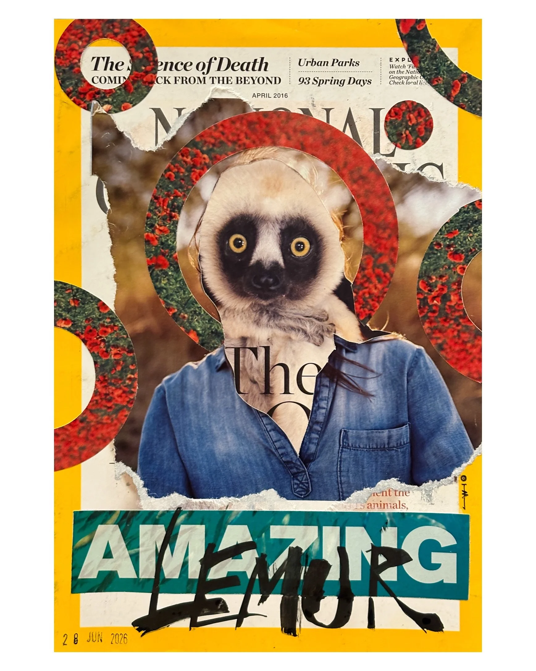 The amazing lemur. A collage. 
.
#collage #surrealcollage #artwork #australianartist #mixedmedia