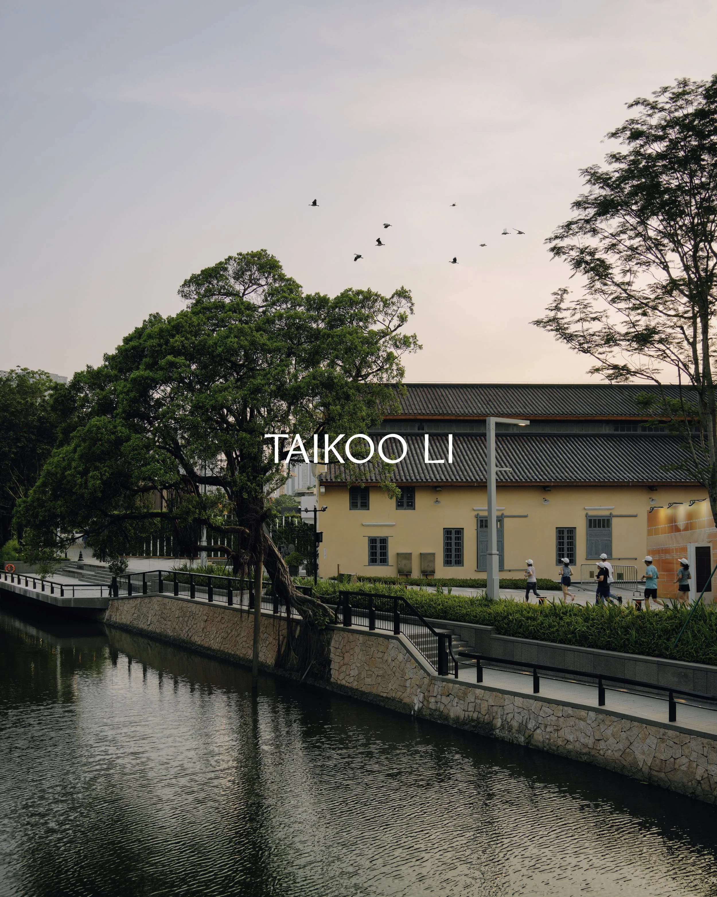 TAIKOO_LI_PHOTOS-21.jpg