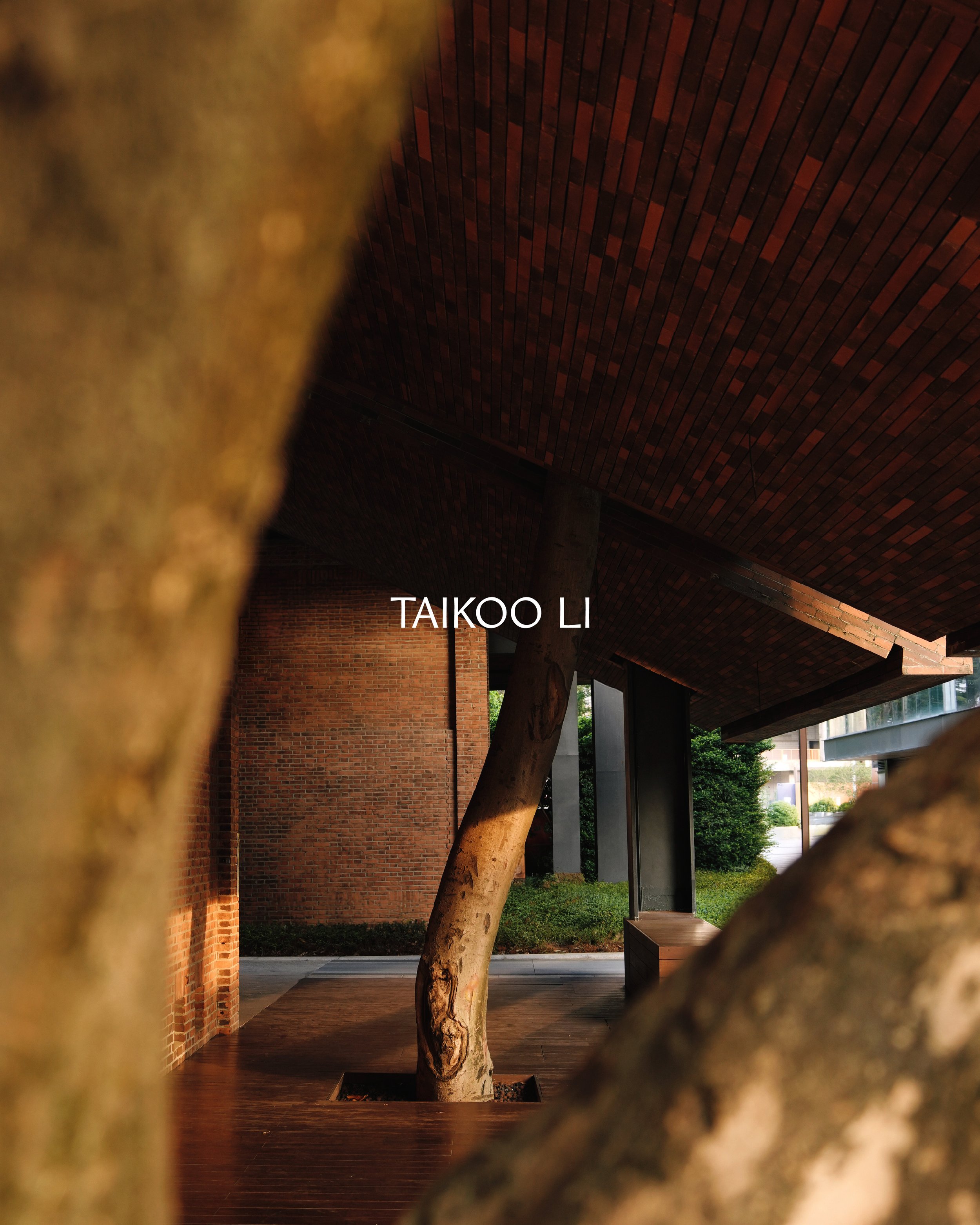 TAIKOO_LI_PHOTOS.jpg