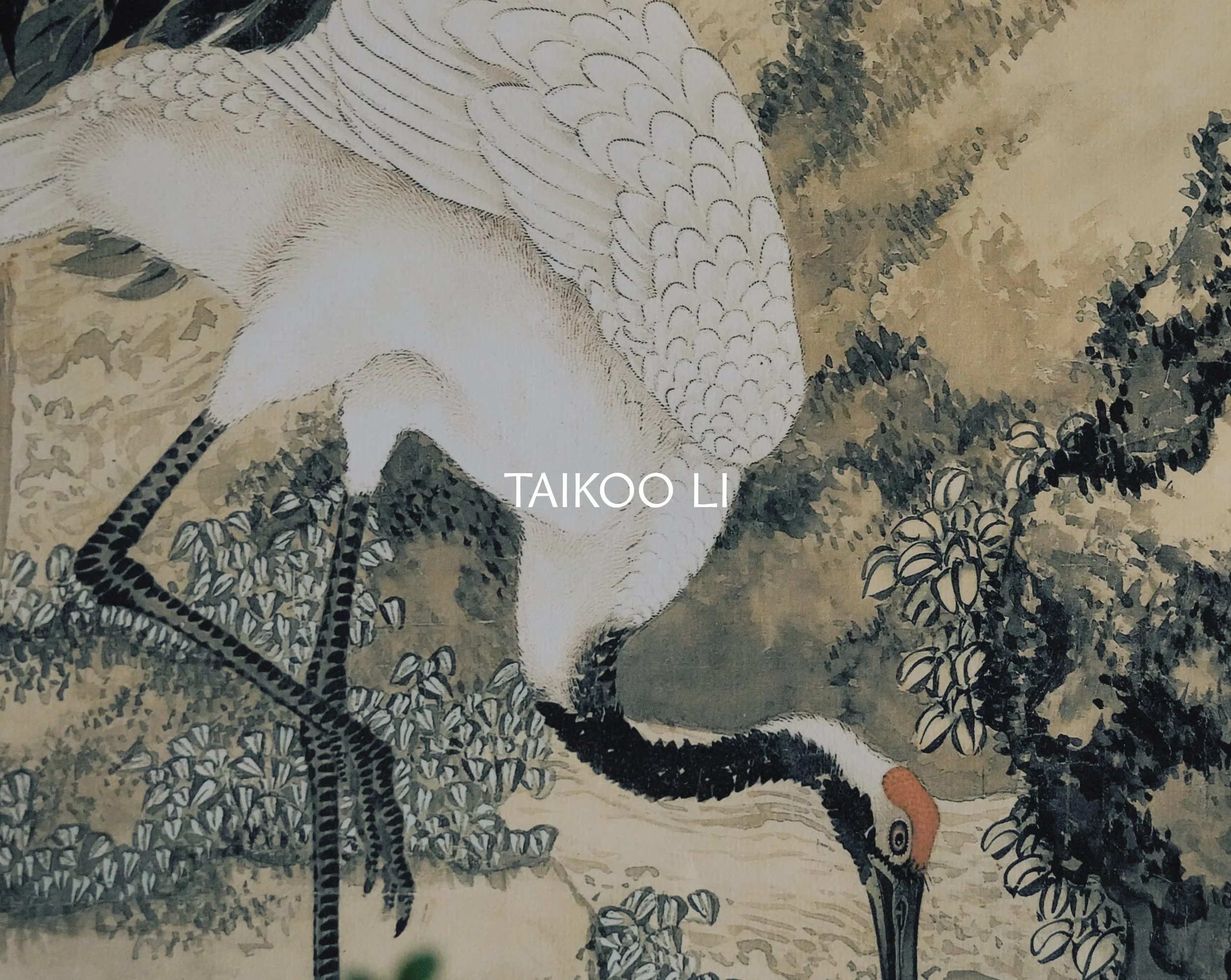 TAIKOO_LI_PHOTOS-44.jpg