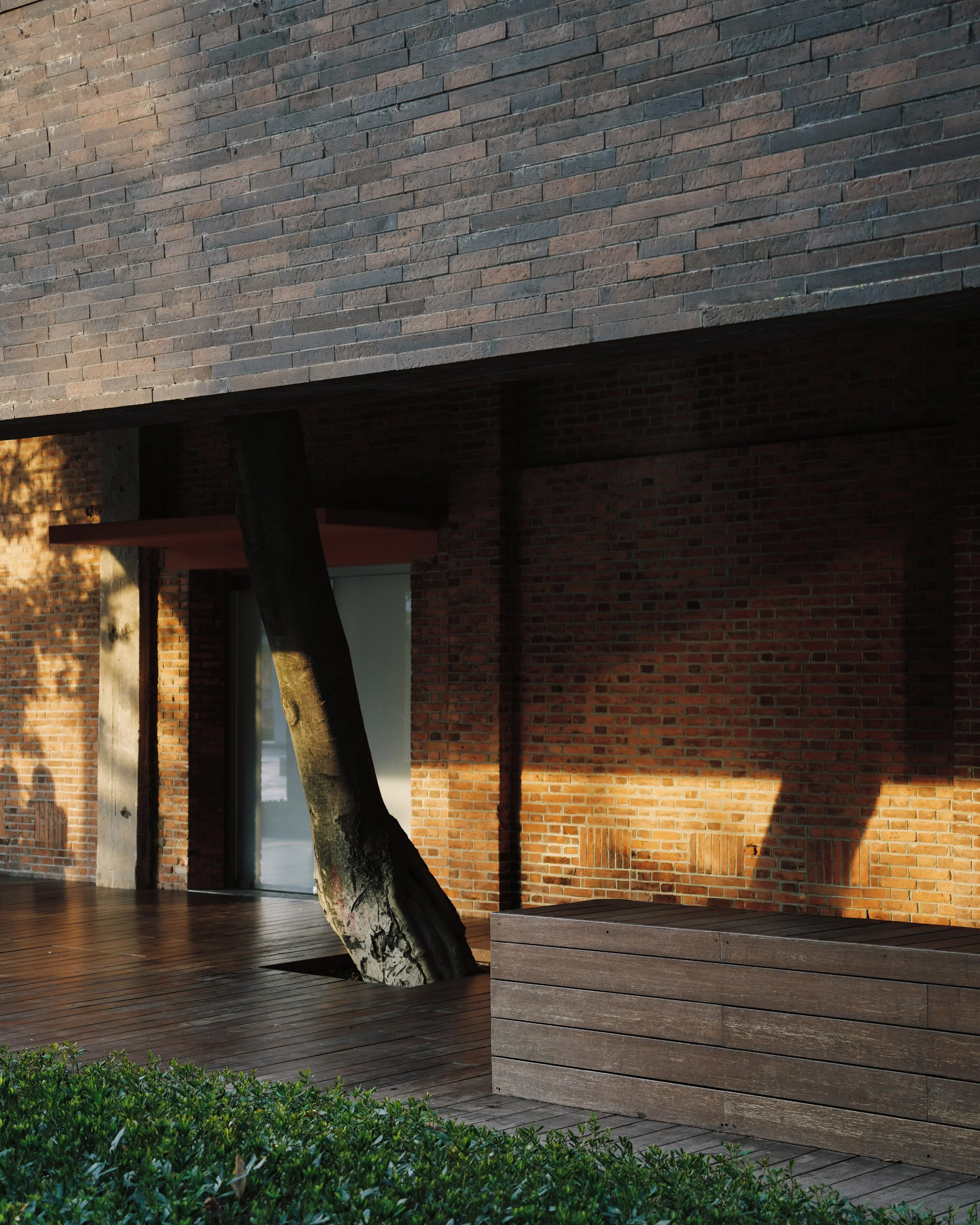 TAIKOO_LI_PHOTOS-03.jpg