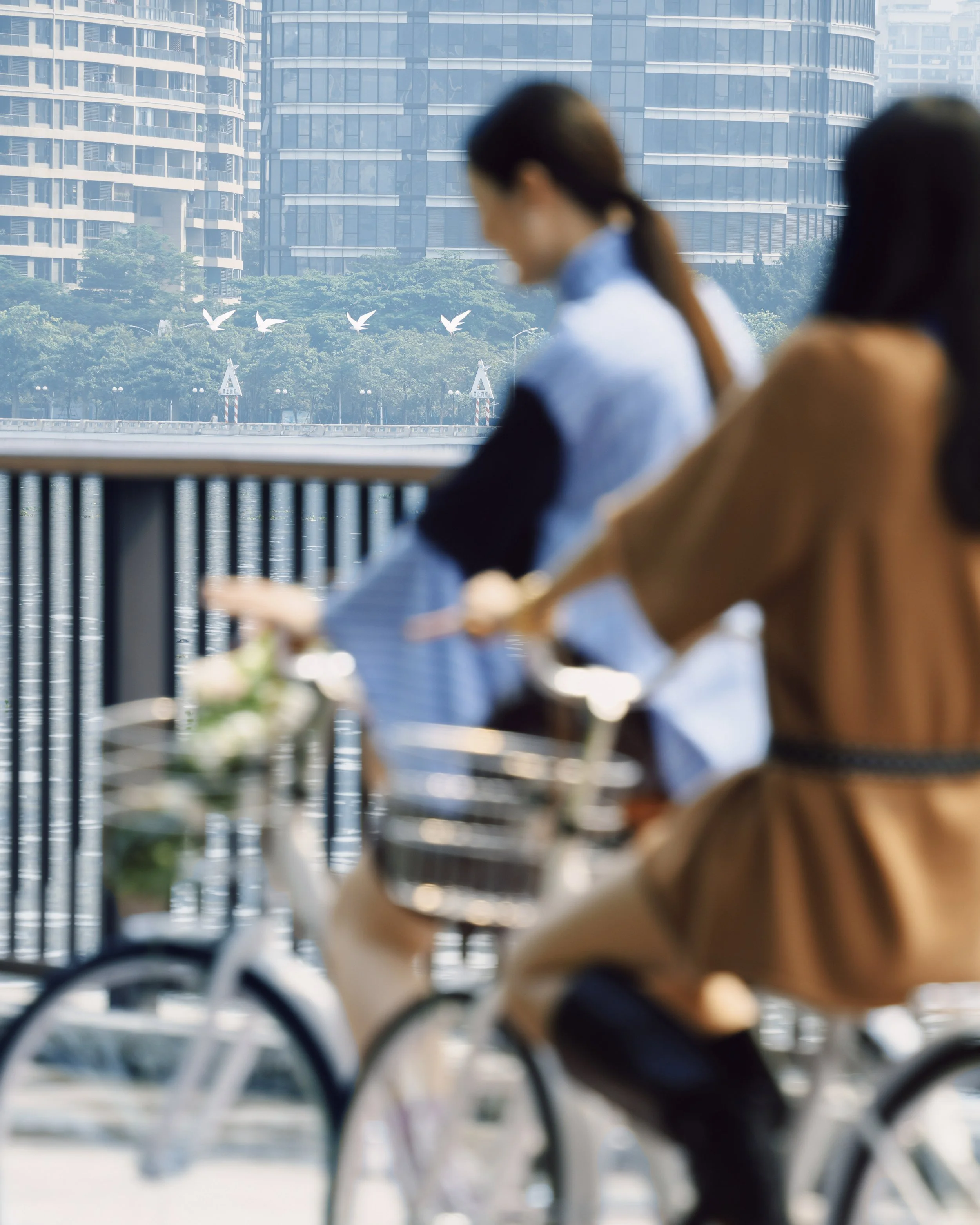 TAIKOO_LI_PHOTOS-09.jpg