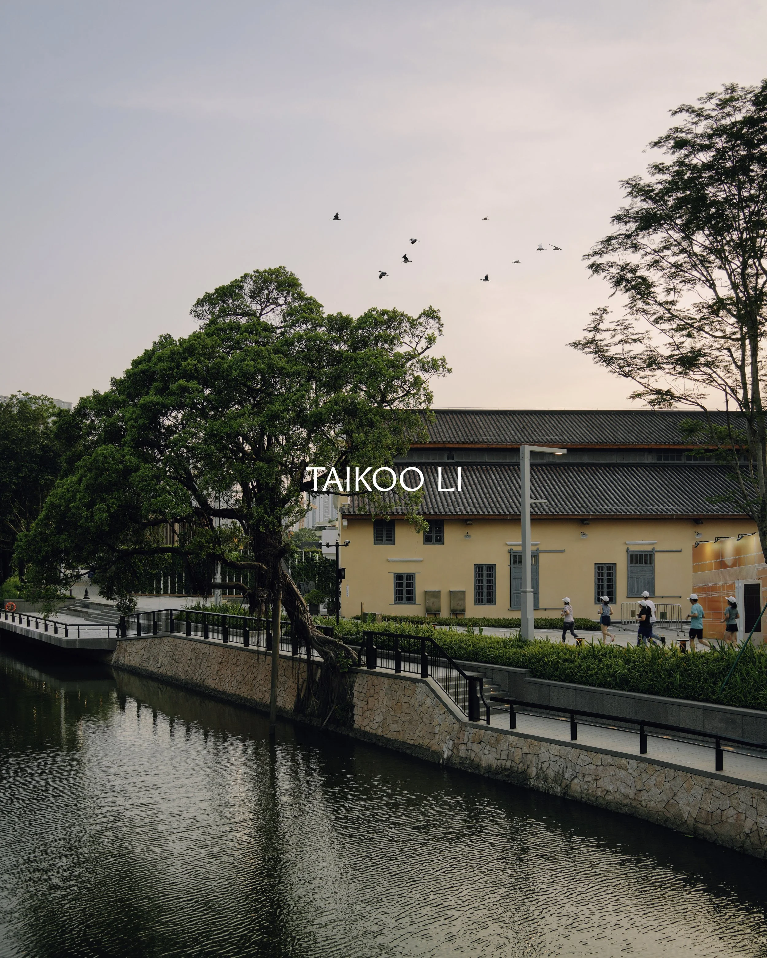 TAIKOO_LI_PHOTOS-21.jpg