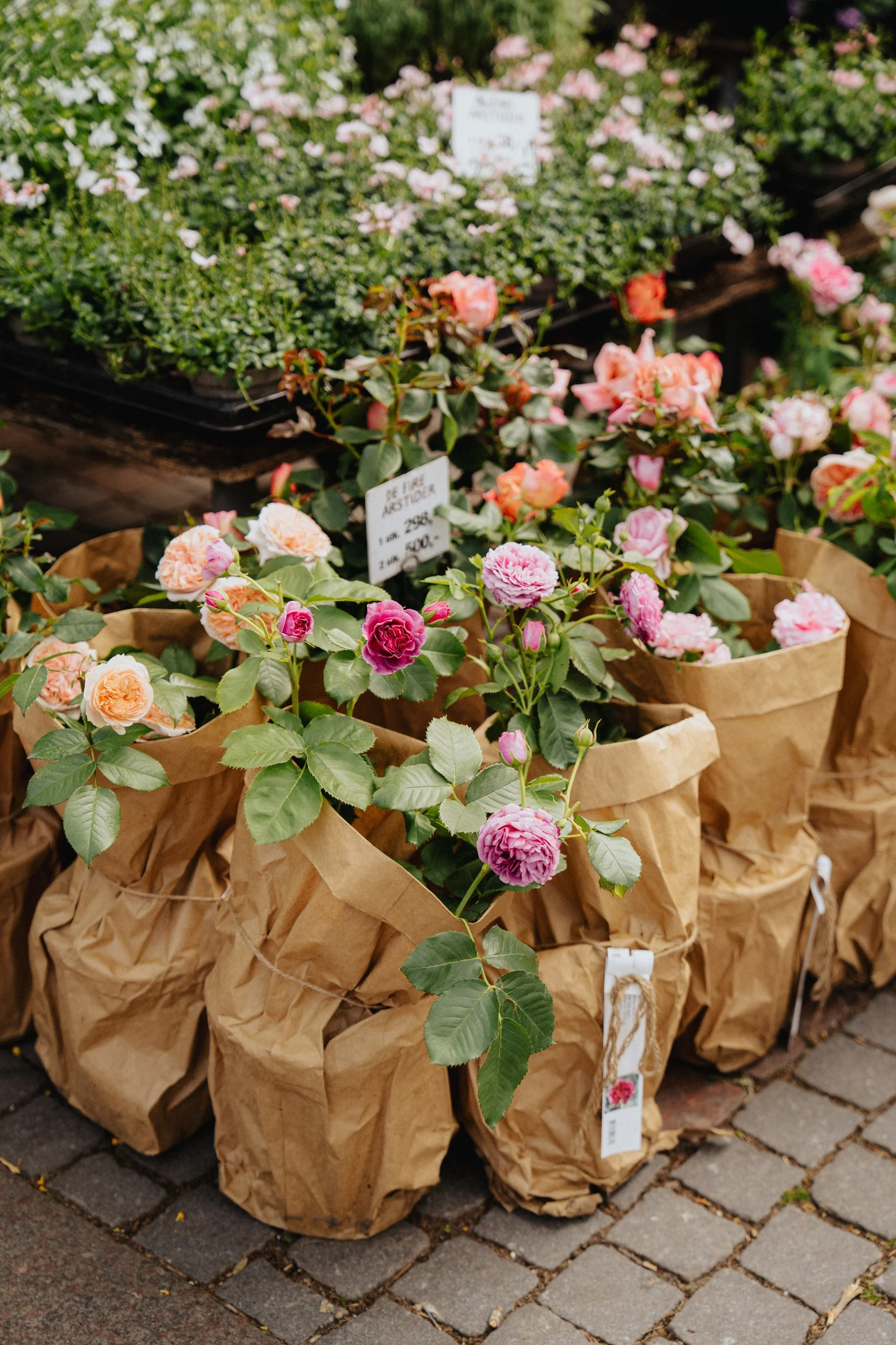Gående har køb et bundt blomster, der står i papirsposer, i en blomsterhandel, med blomster i lyserøde og orange nuancer udstillet på træbord.