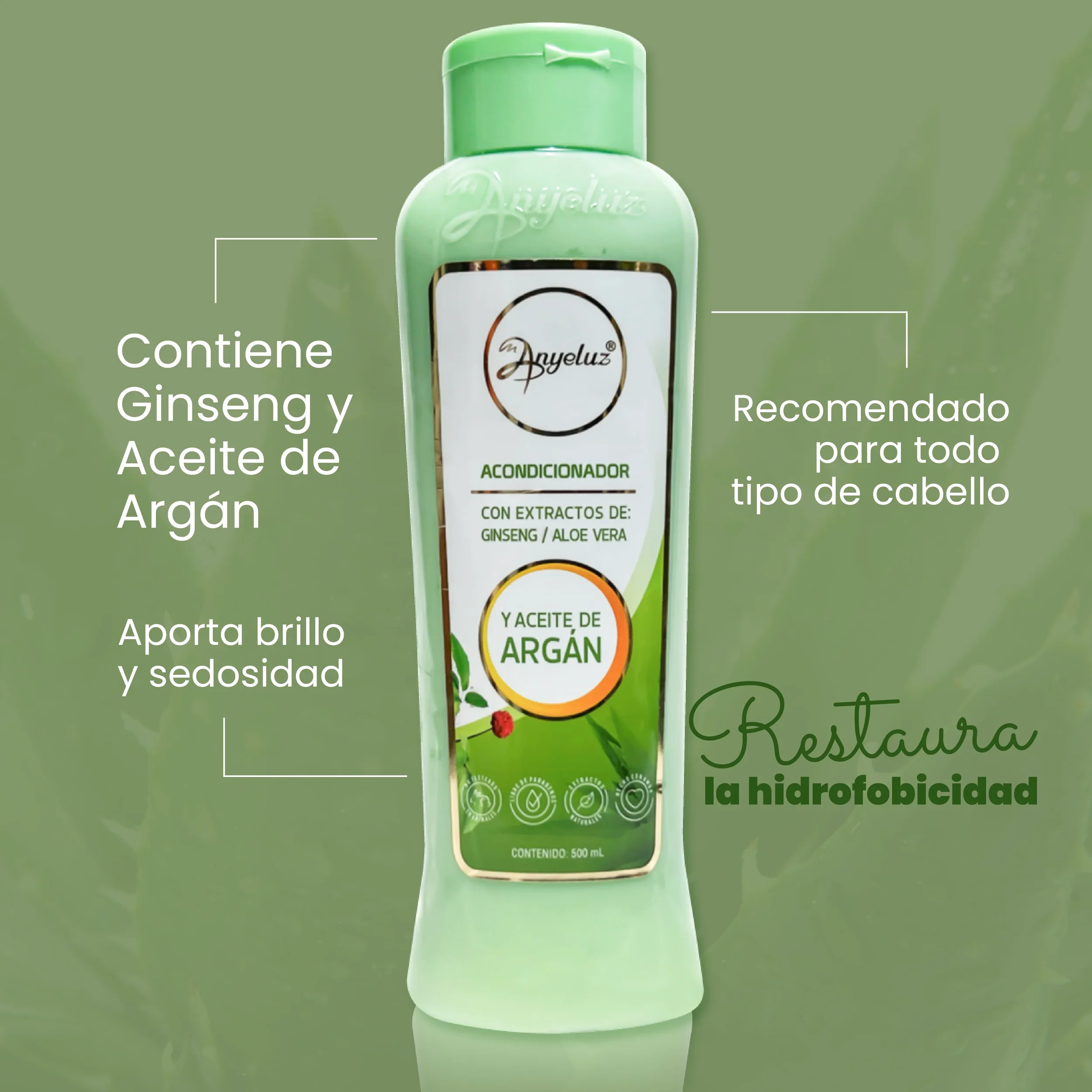 Anyeluz Acondicionador Argan