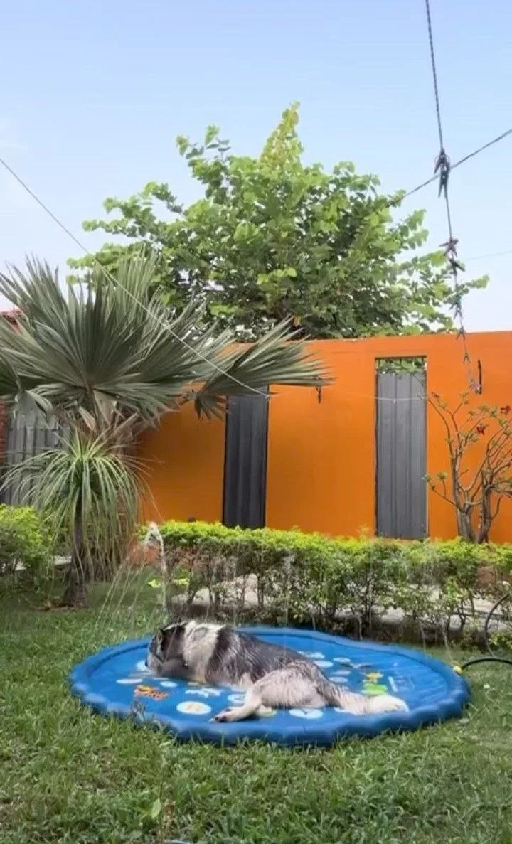 Piscina de 150 cm de diámetro