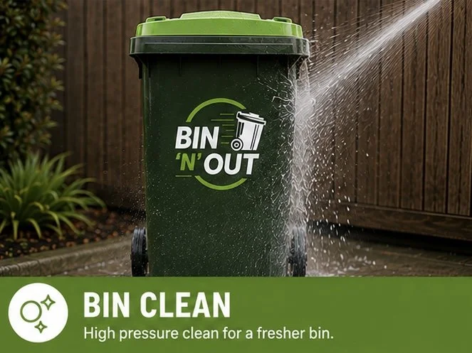 Professional Bin Clean