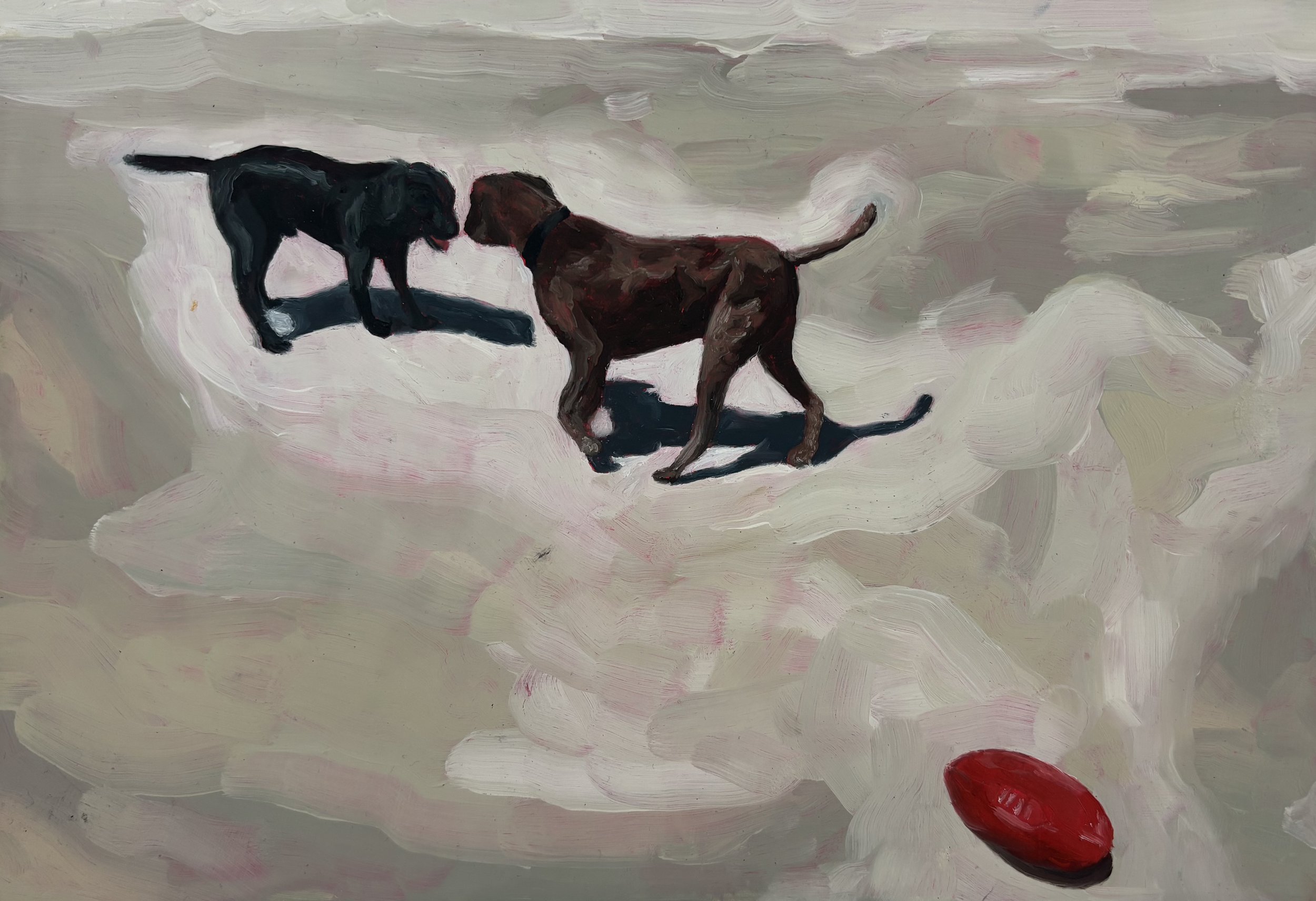 Eyes for You, 2026. Oil on board. 20cm x 29cm