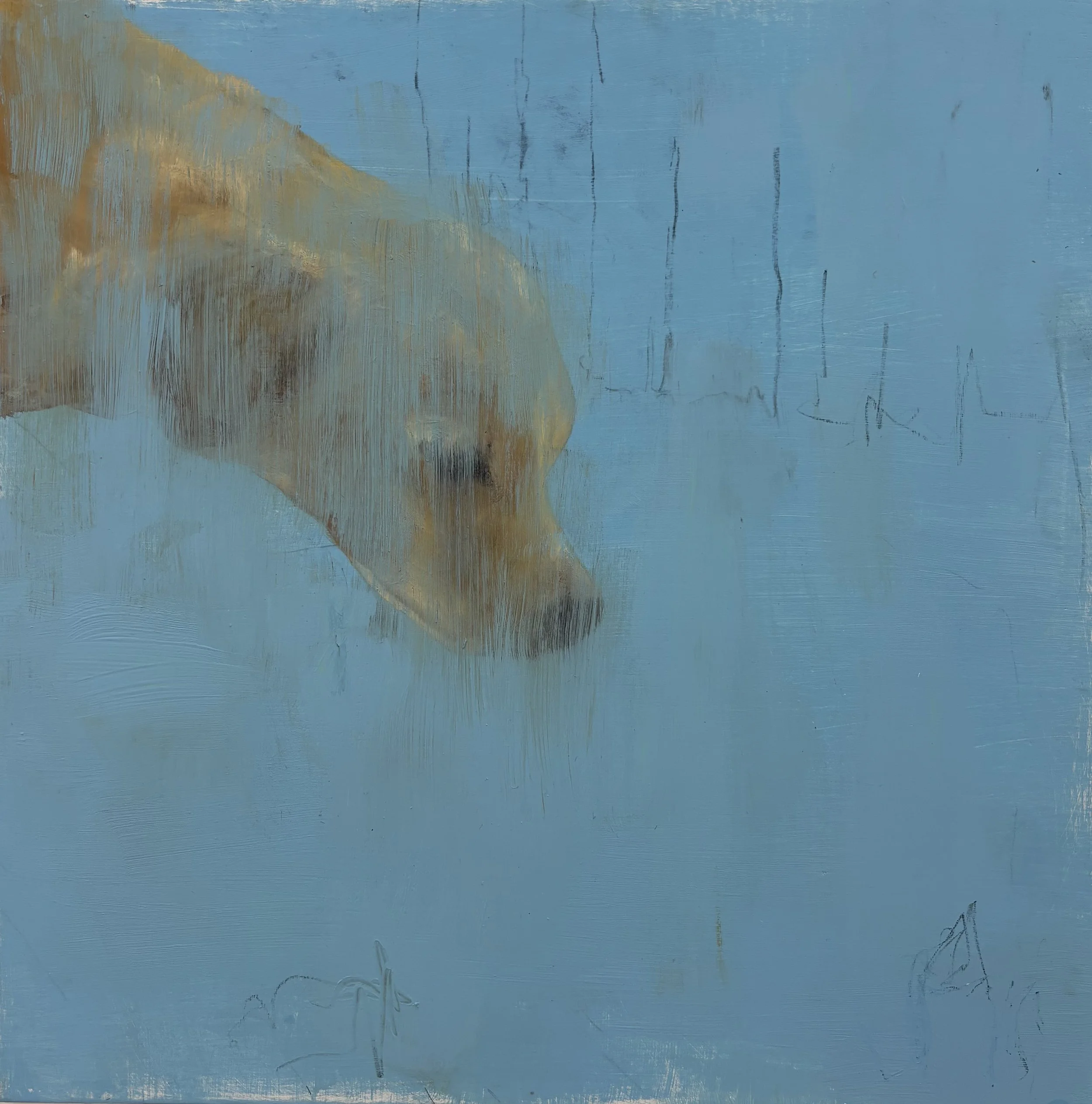 New Smells, 2026. Oil on board. 30cm x 30cm 