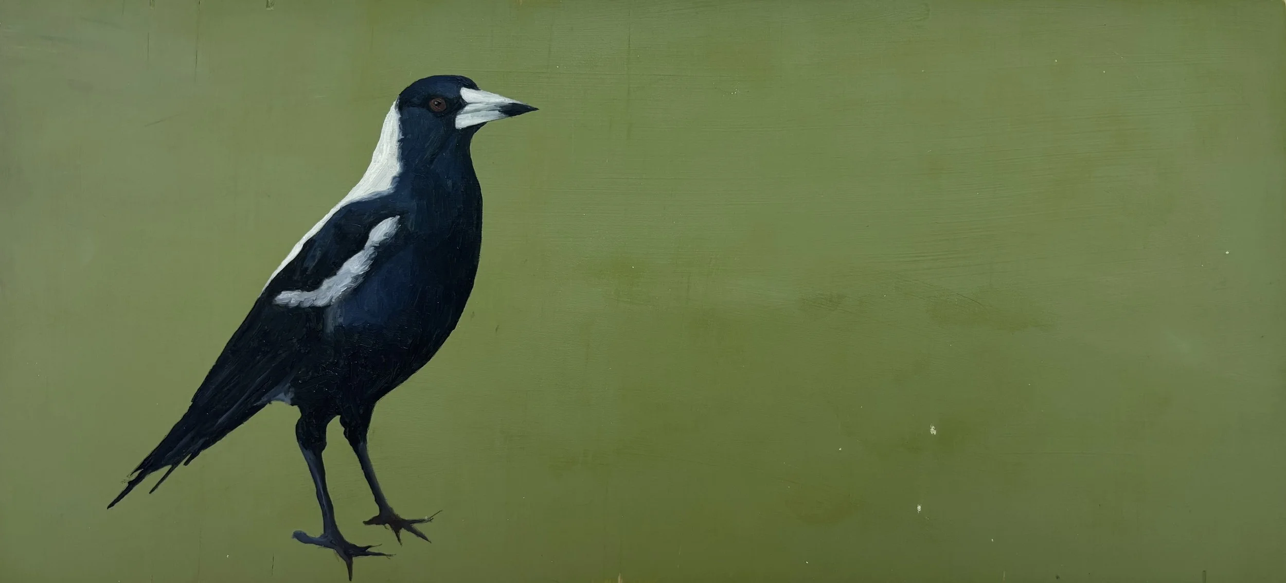 Swooping Season, 2026. Oil on Board. 21cm x 45cm