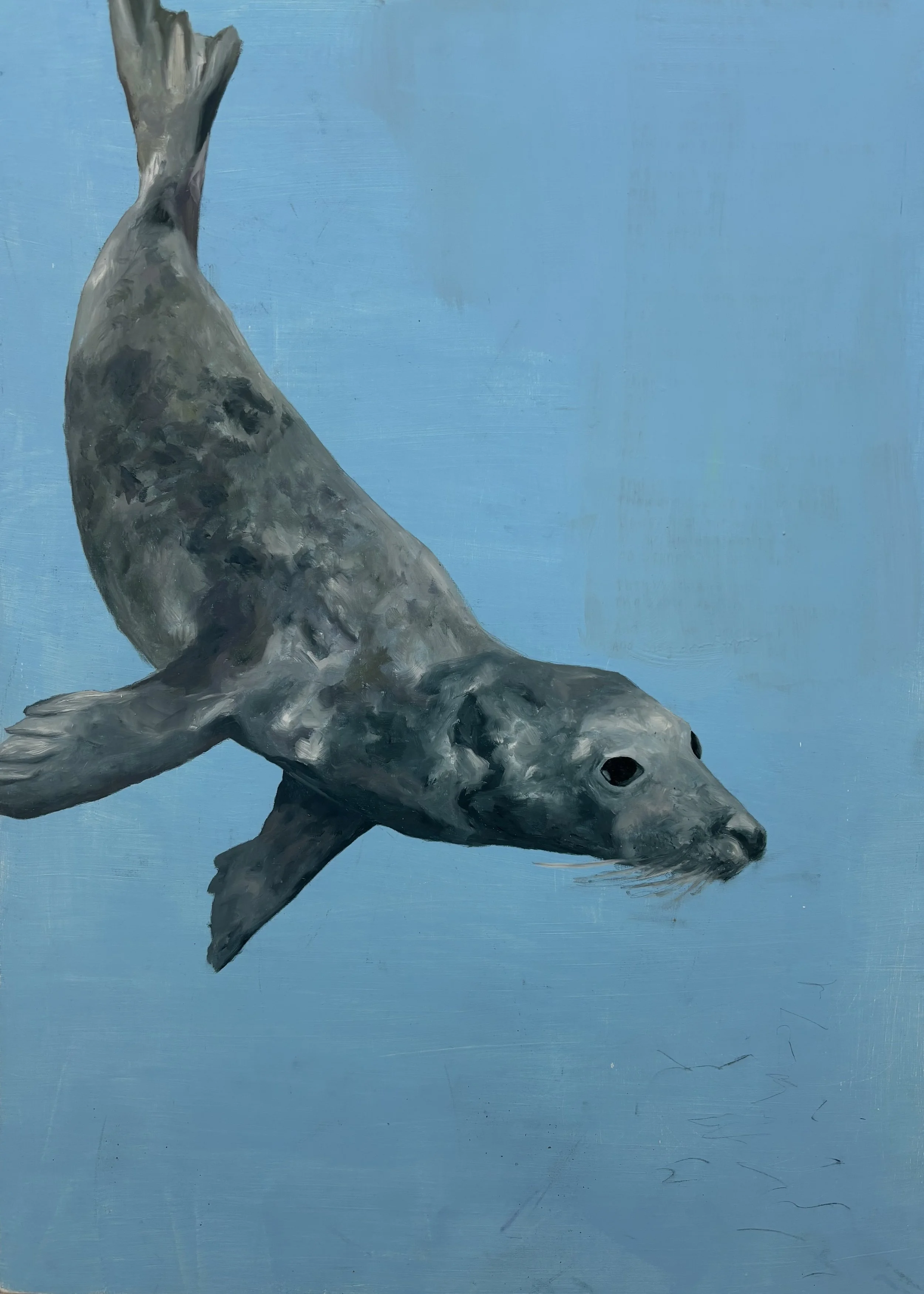 Glide With Me, 2026. Oil on board. 60cm x 44xm 