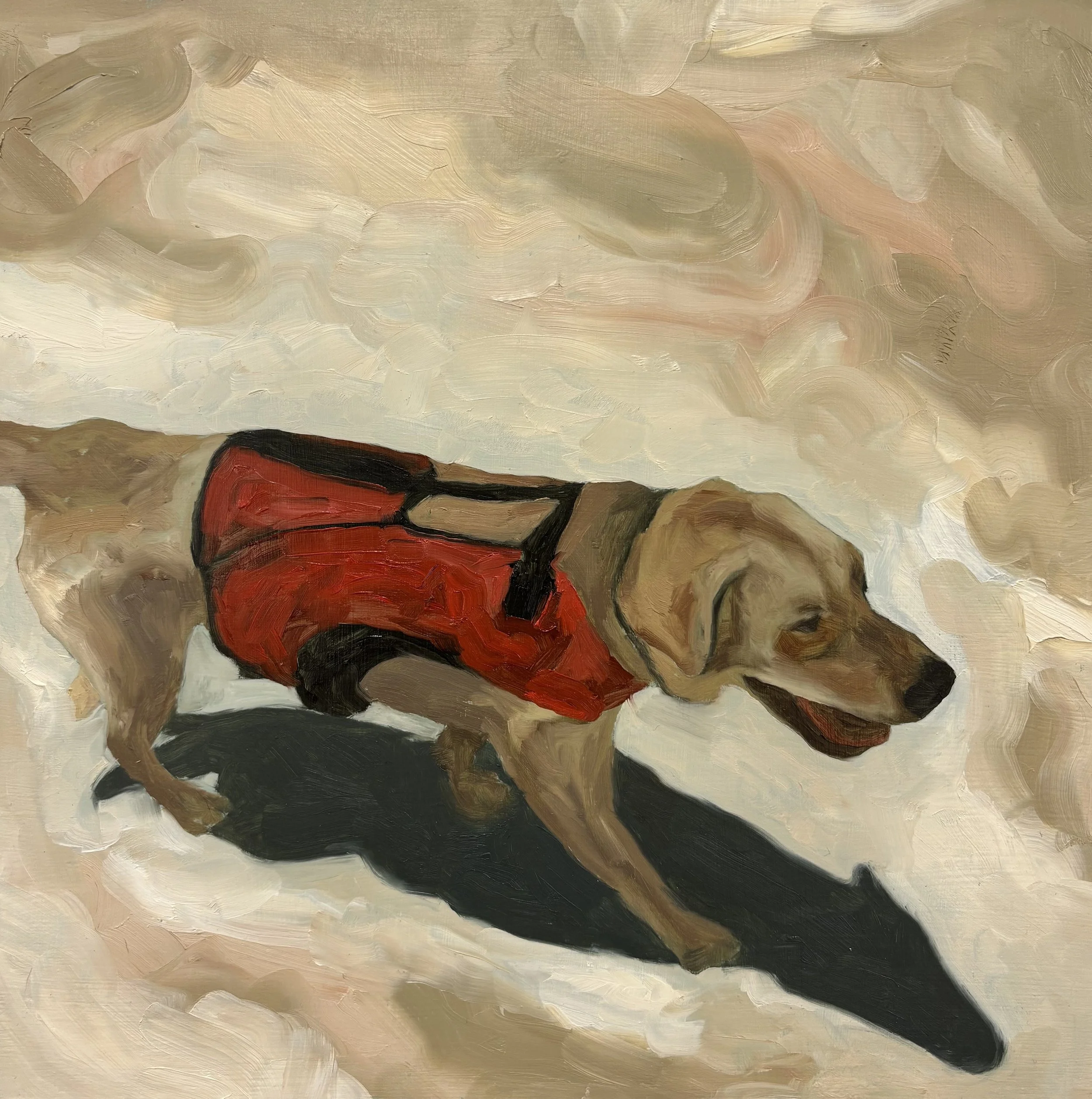 Life Jacket, 2026. Oil on Board