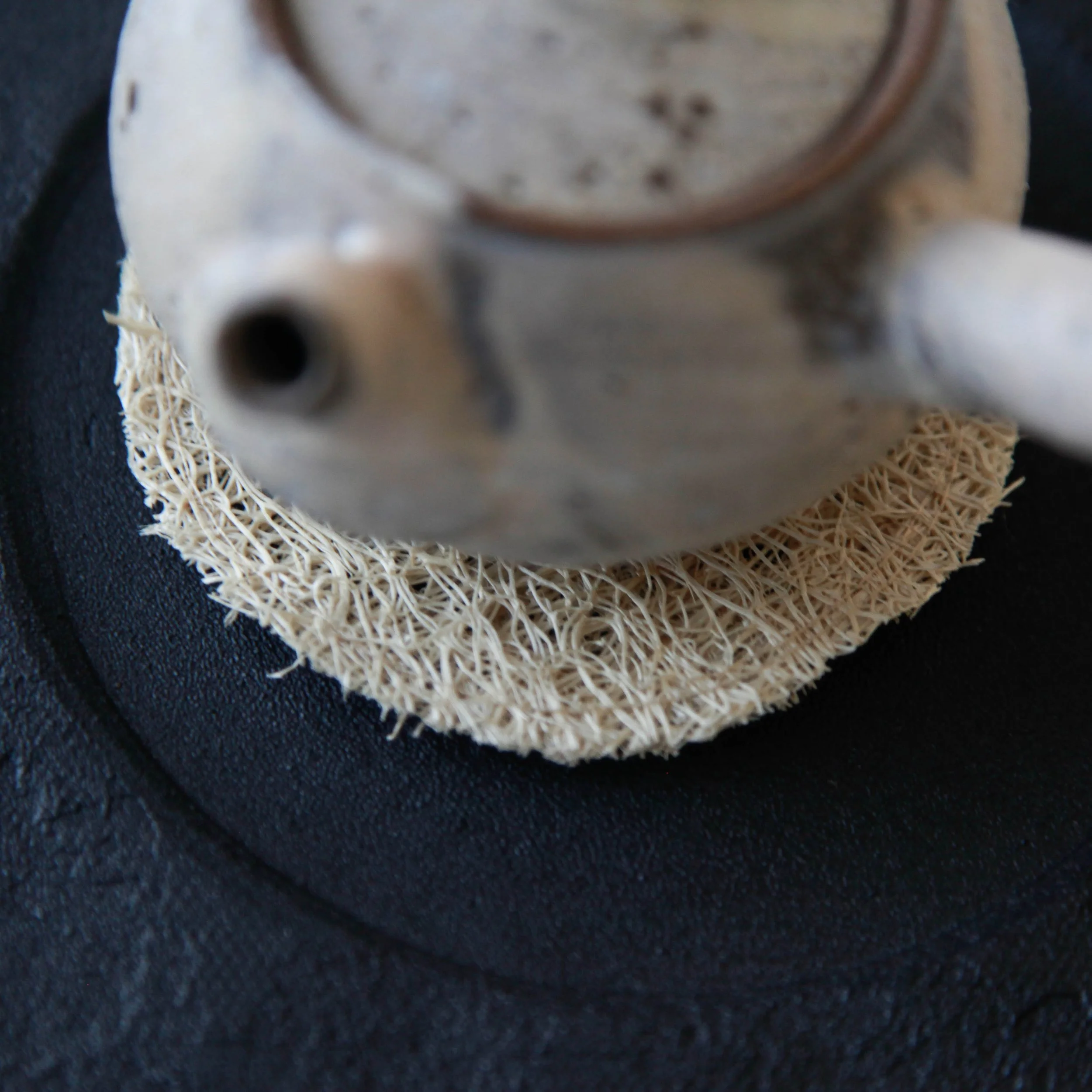 GongfuTeapotLoofahCoaster3.jpg