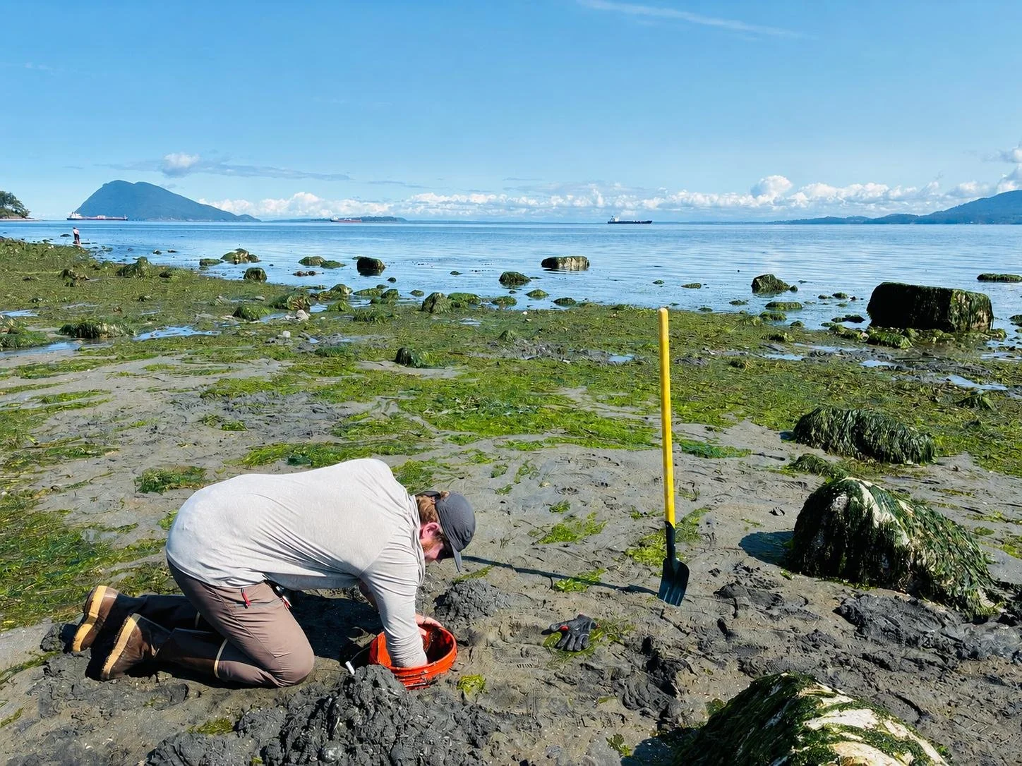 Digging for horse clams on Samish Island