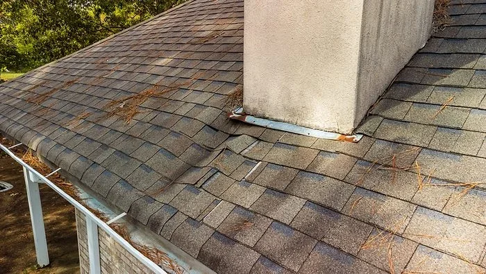 Shingles near the chimney are warped and damaged, with pine needles scattered—signs that a roof leak might be present.