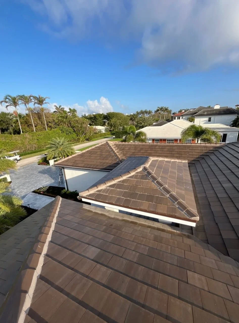 Rooftops of houses with brown tiles, palm trees, green lawns, and a blue sky with some clouds in the background.