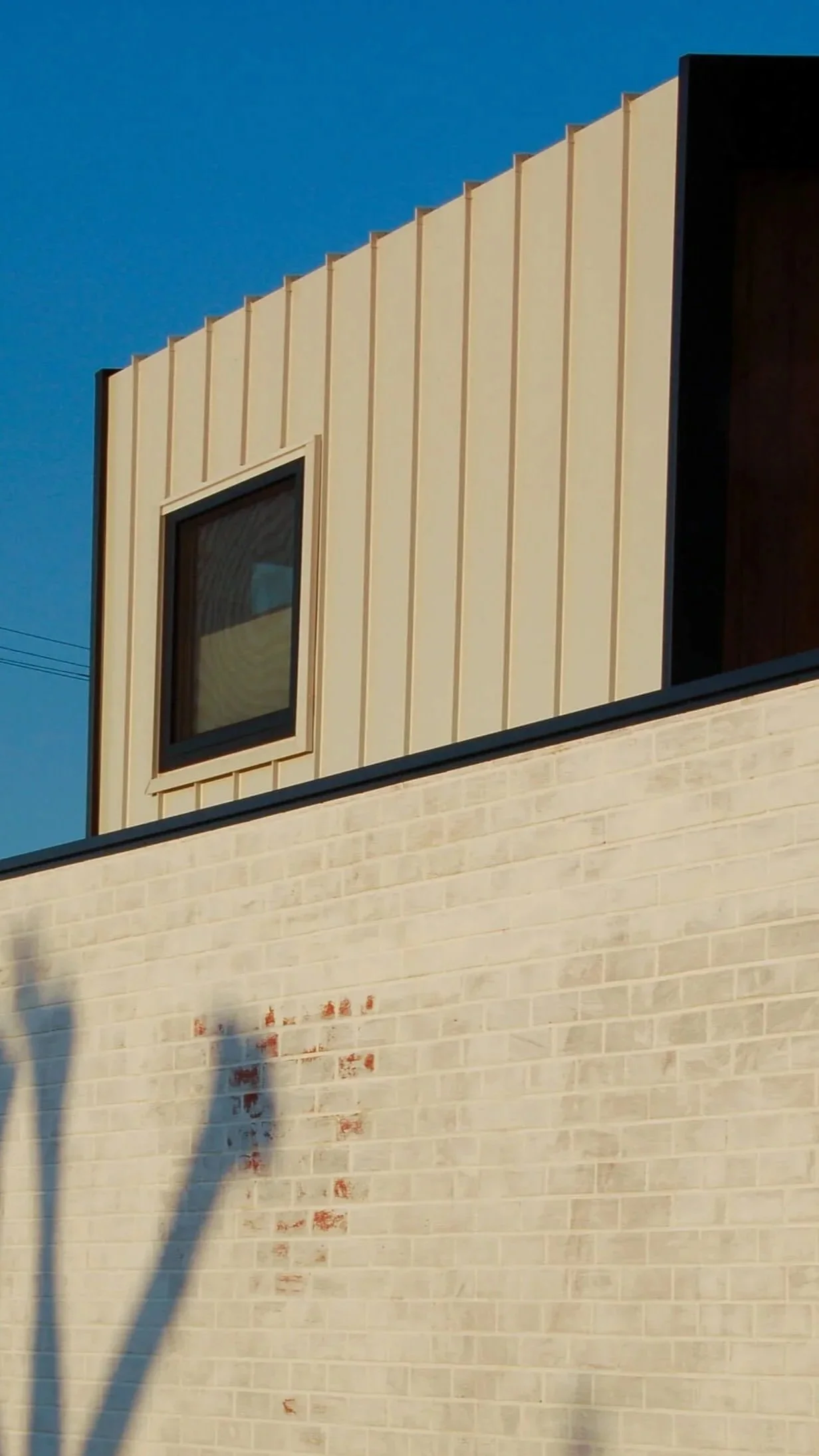 A beige brick wall with shadows of plants cast on it. Above, a section of a modern building with cream-colored vertical siding and a dark-framed window. The sky is clear and blue.