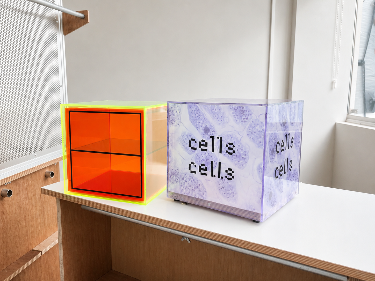 cells cells_9.png