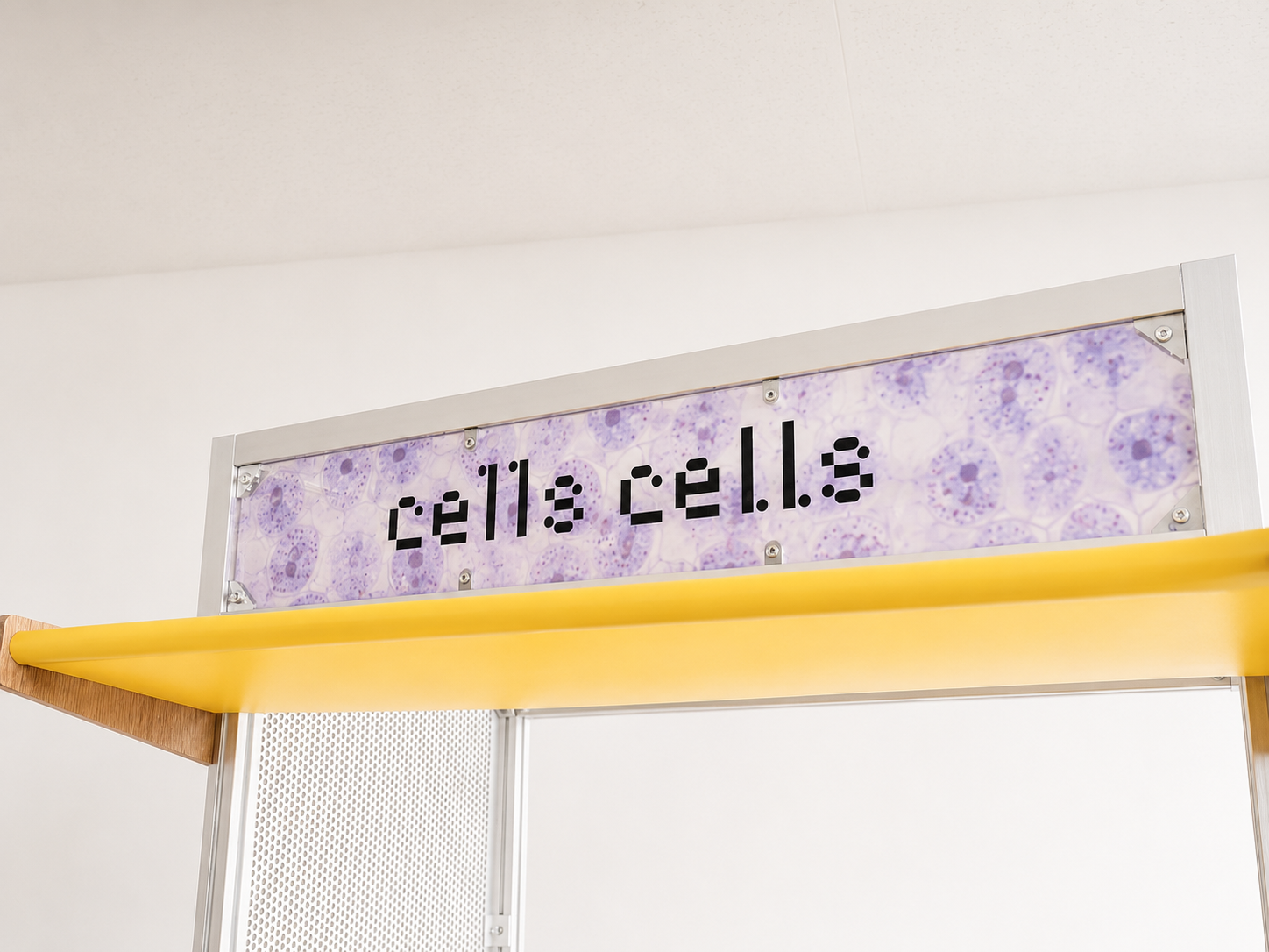 cells cells_3.png