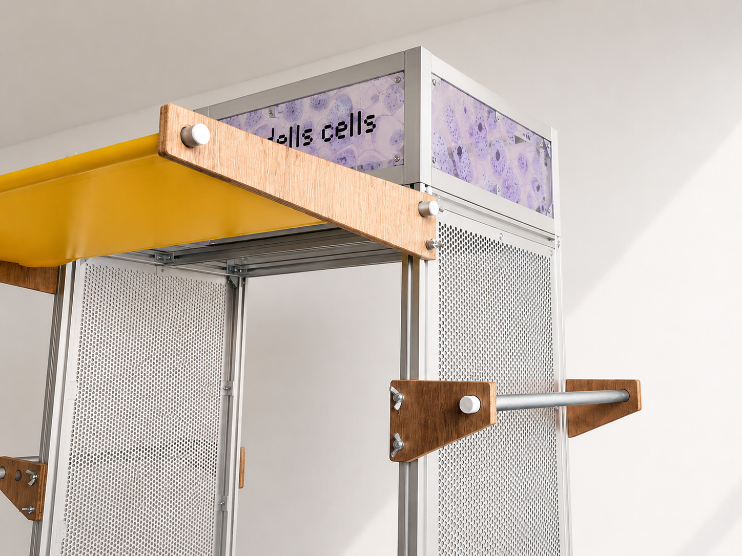 cells cells_4.png