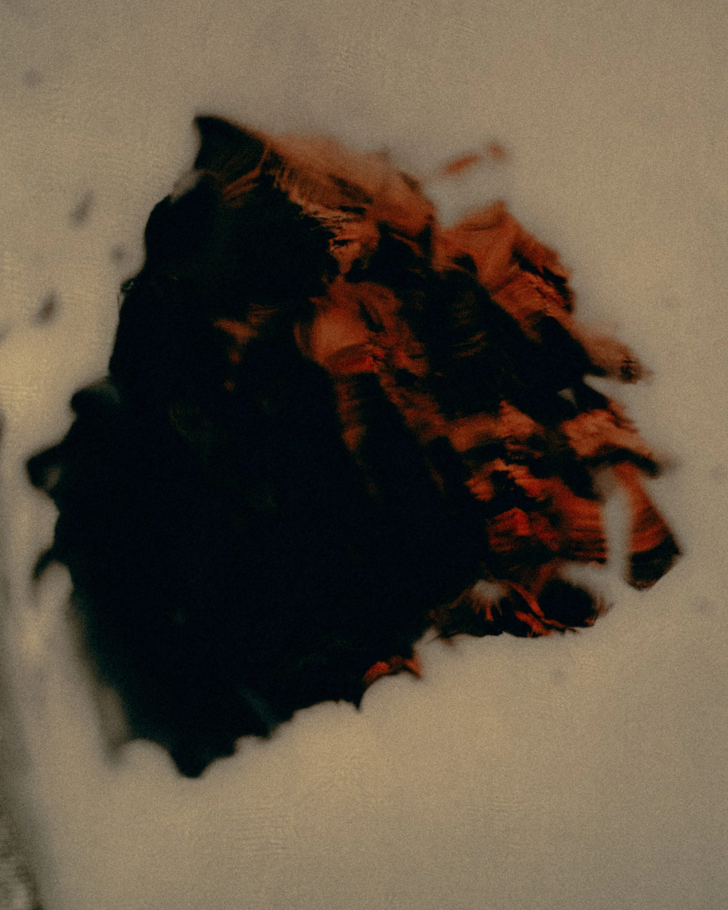 DSCF8280.jpg