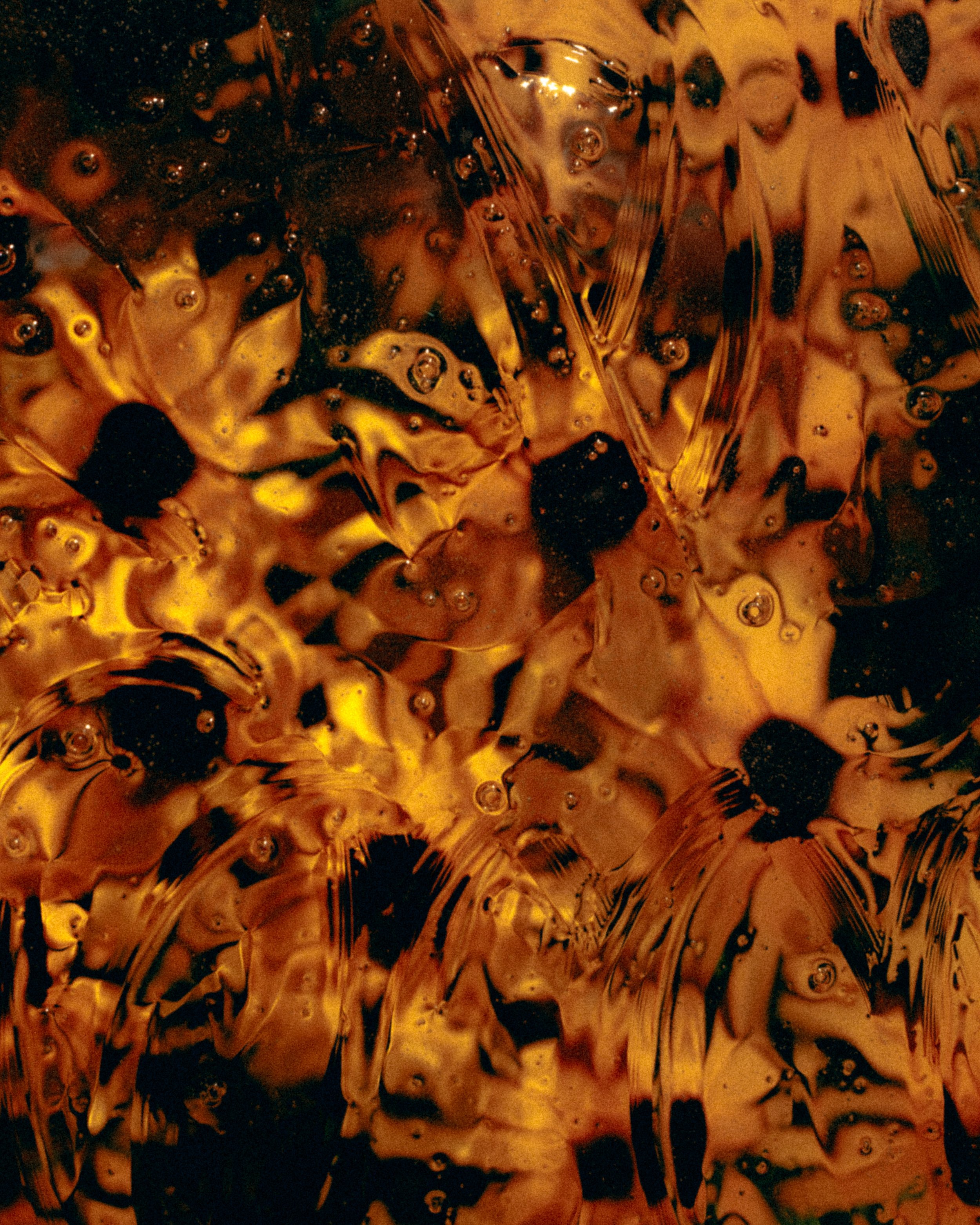 DSCF8187.jpg