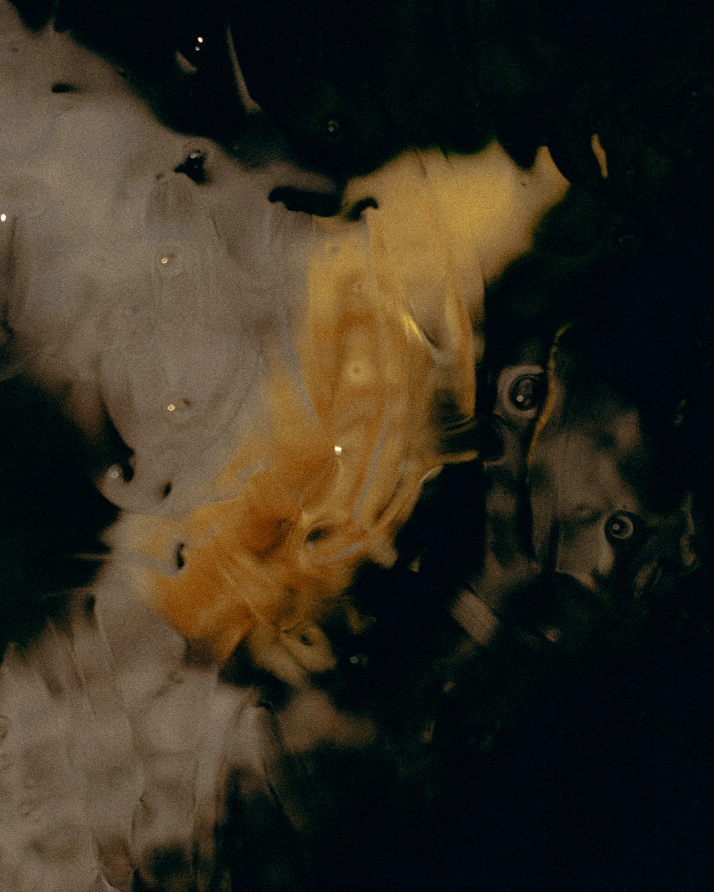 DSCF8261.jpg