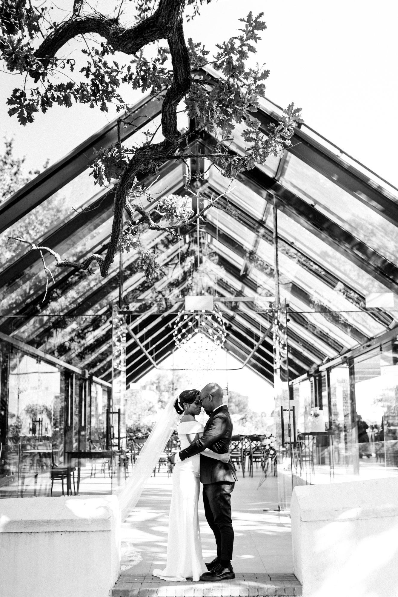 A black-and-white photo of a bride and groom embracing inside a modern glass building, with a tree visible above them